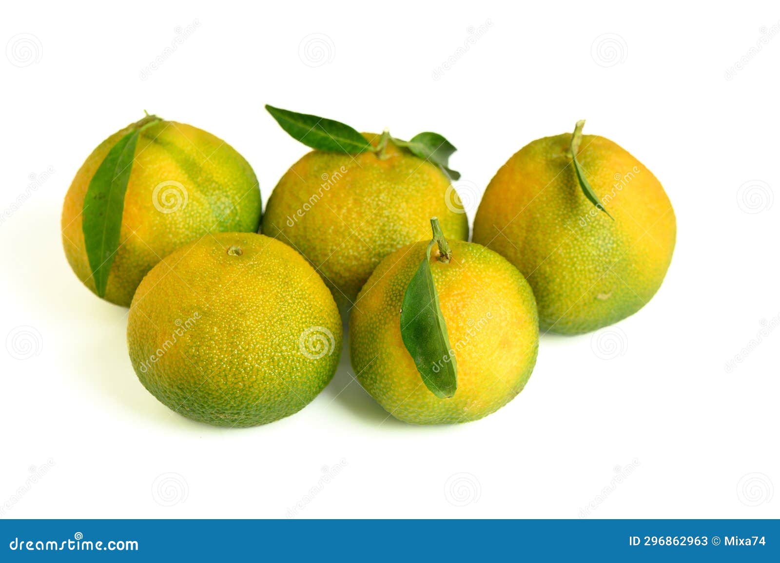 Five Fresh Tangerines on a White Background 1 Stock Image Image of