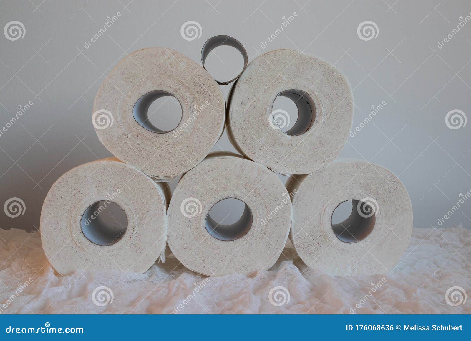 Five Full Rolls and One Empty Cardboard Toilet Paper Tube Stacked in ...