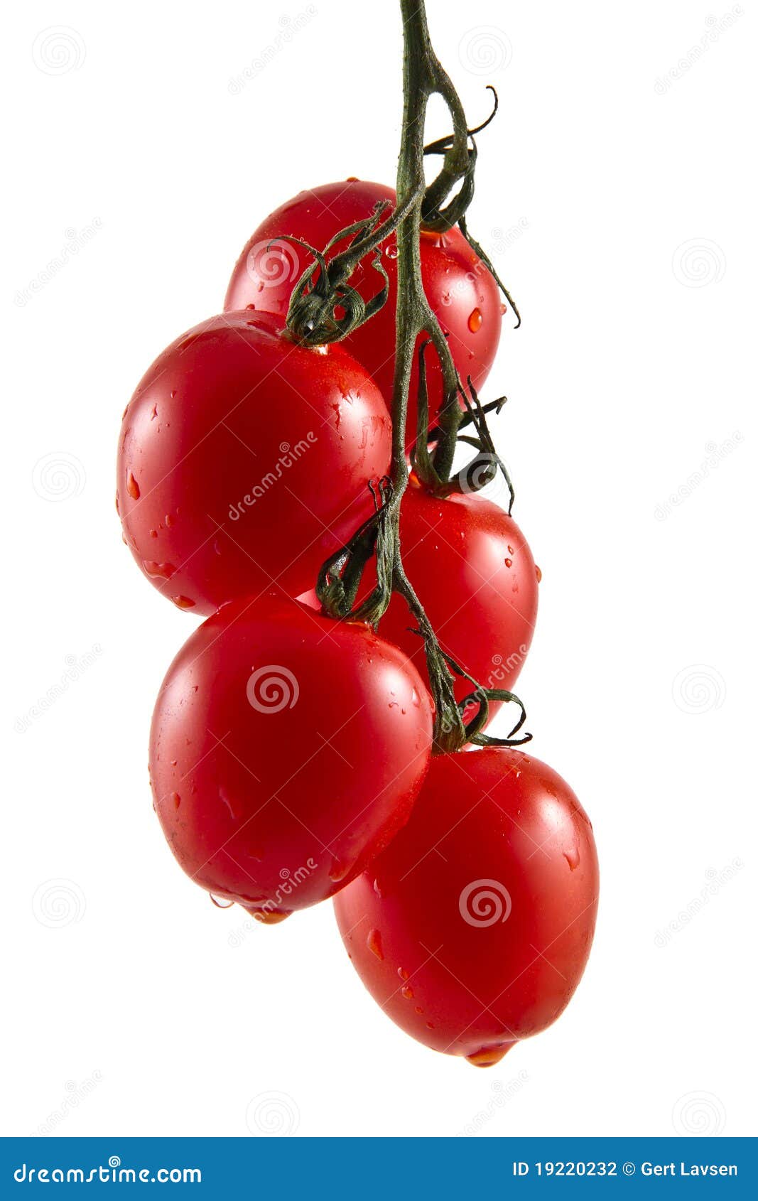 Five Hanging Truss Tomatoes Stock Photo Image of growth, cooking