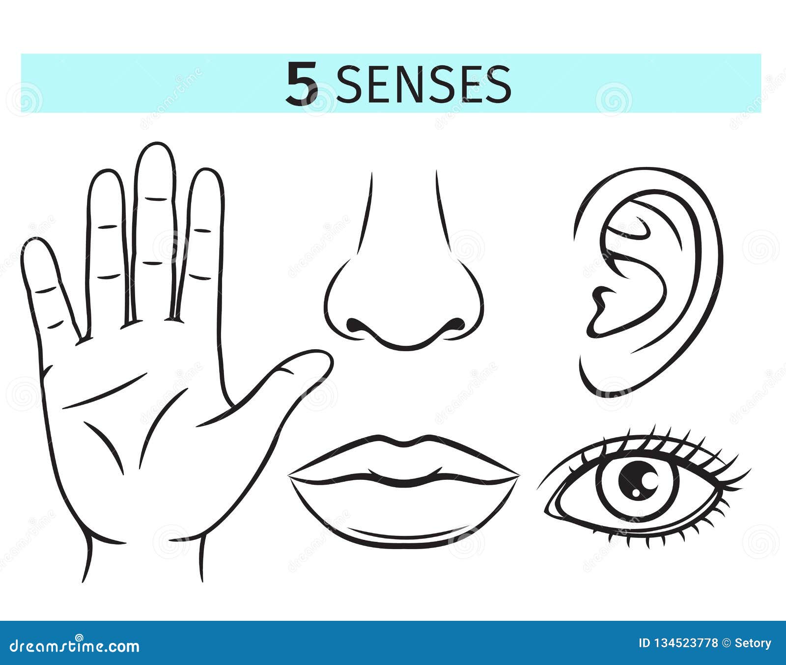 Five human senses stock vector. Illustration of hear - 134523778