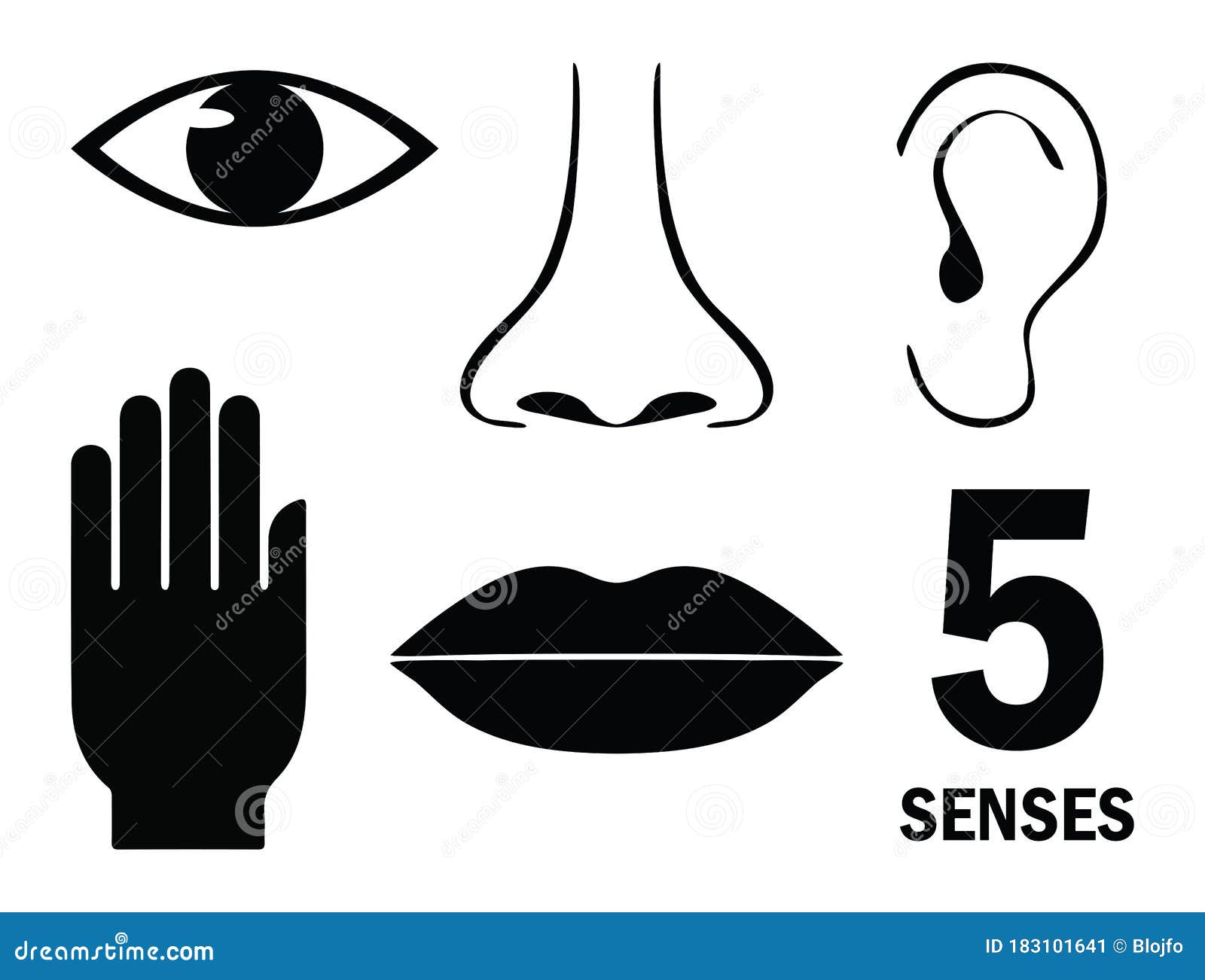 Five human senses stock vector. Illustration of hand - 183101641