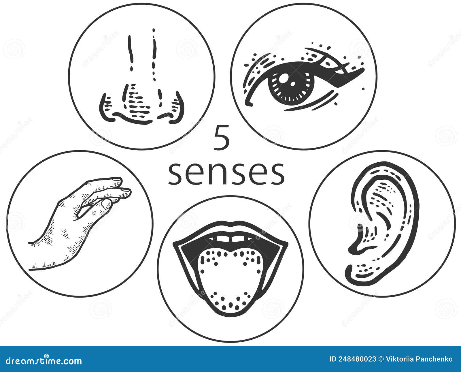 Five Human Senses, Touch, Smell, Hearing, Vision, Taste. Lip, Ear, Nose ...