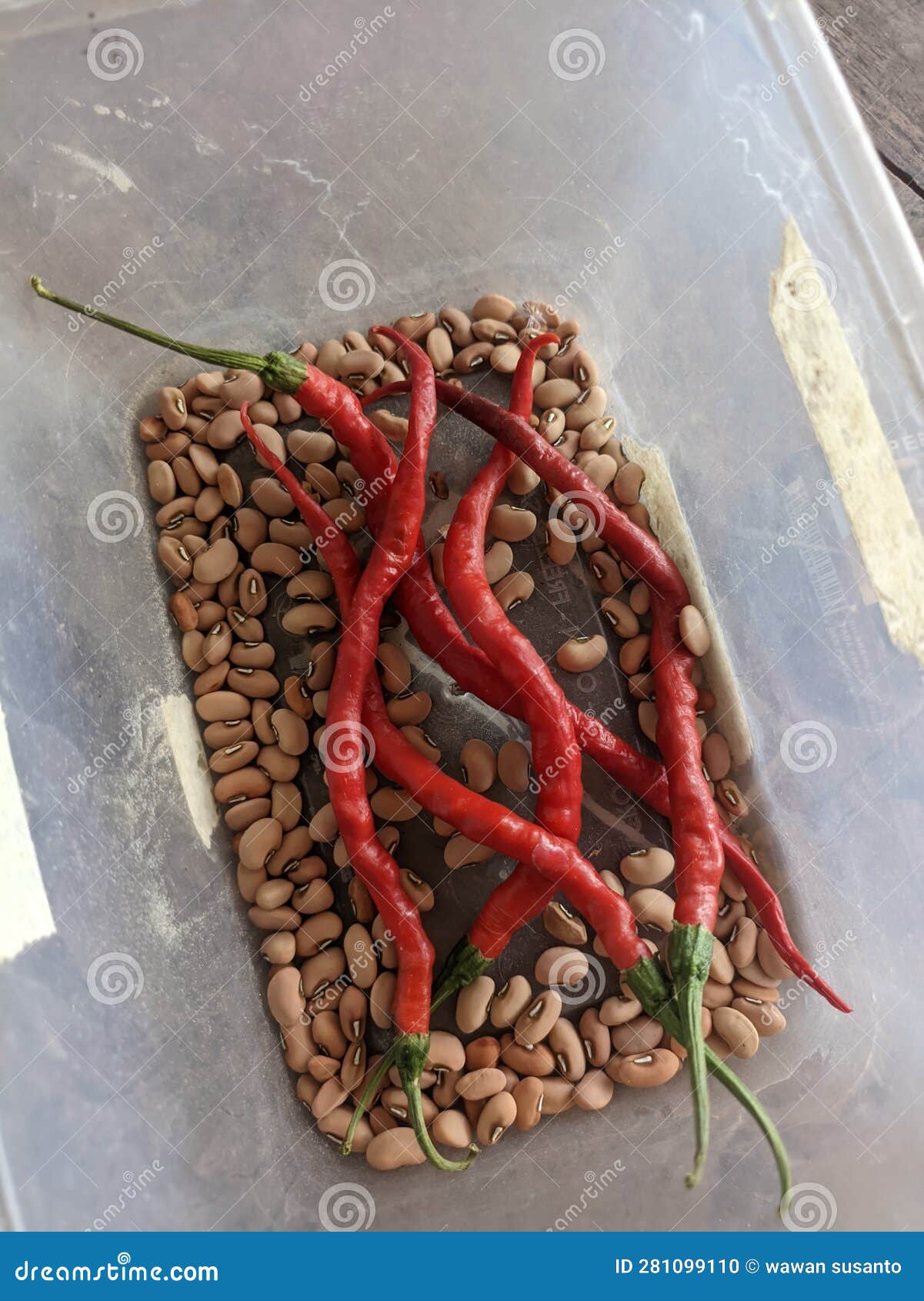 Five Large Red Chili Peppers and Soybean Seeds in a Plastic Container