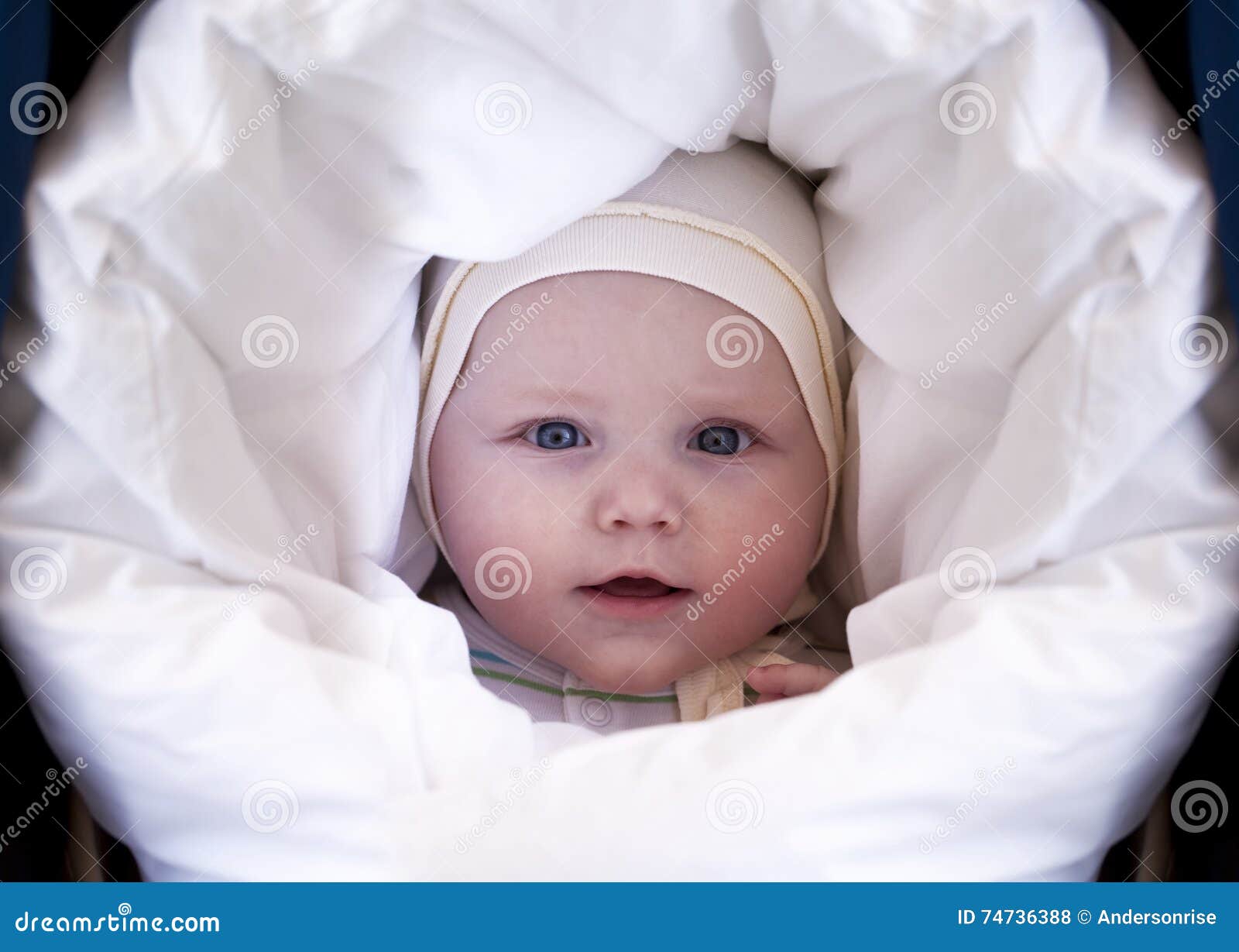 Five month old baby boy stock photo. Image of healthy 74736388
