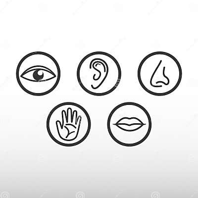 Five senses icon. stock vector. Illustration of sense - 106991425