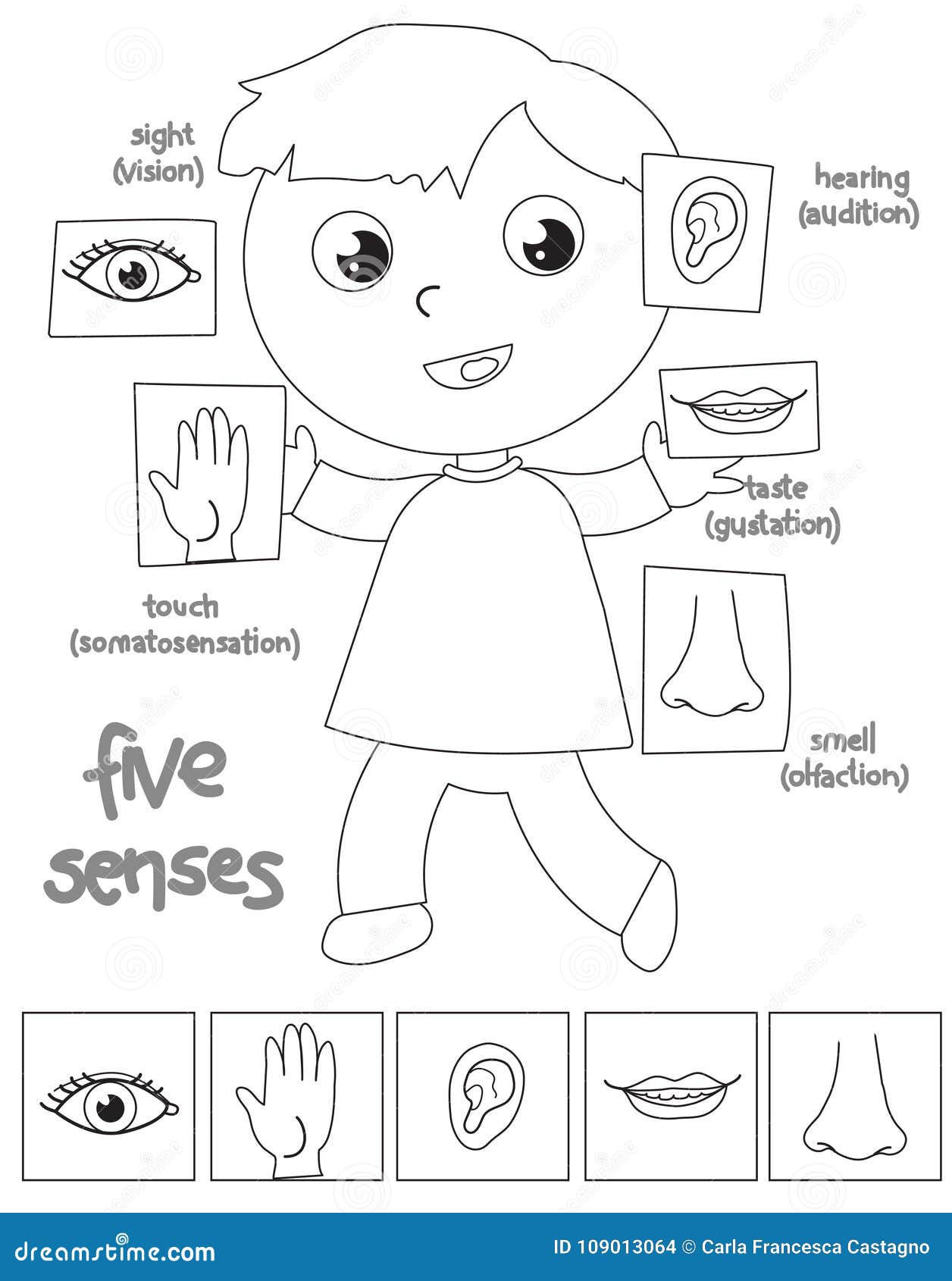 the five senses coloring pages