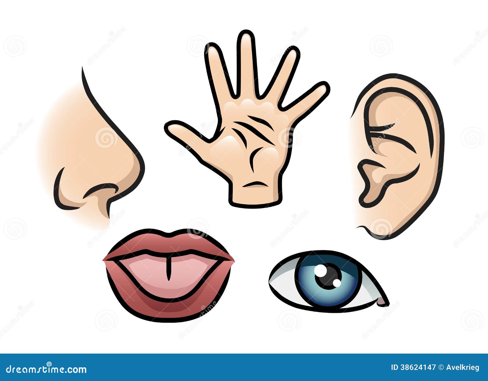 royalty free photo sense of smell royalty free photo sense of smell