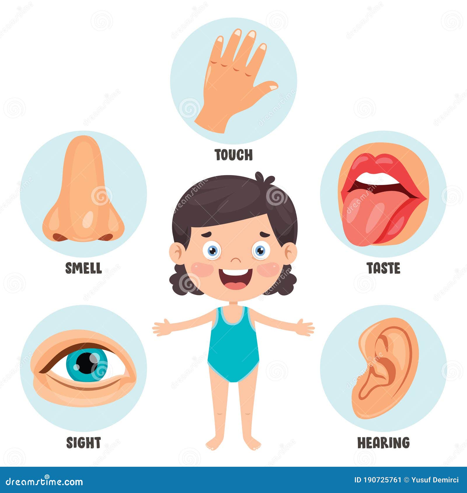 Five Senses Concept With Human Organs Stock Vector - Illustration of