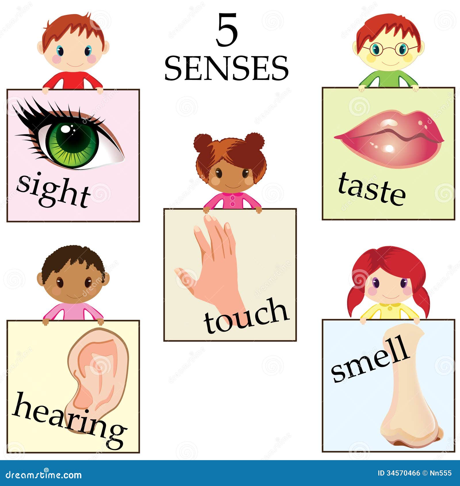Five Senses Educational Concept Stock Vector - Illustration of sensory ...