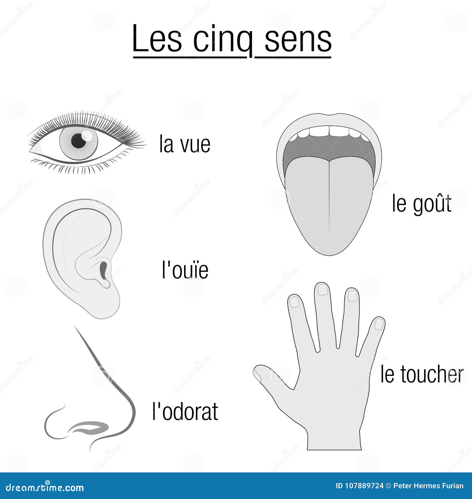 tunc ego sensi naturalitus quosdam affectus translation