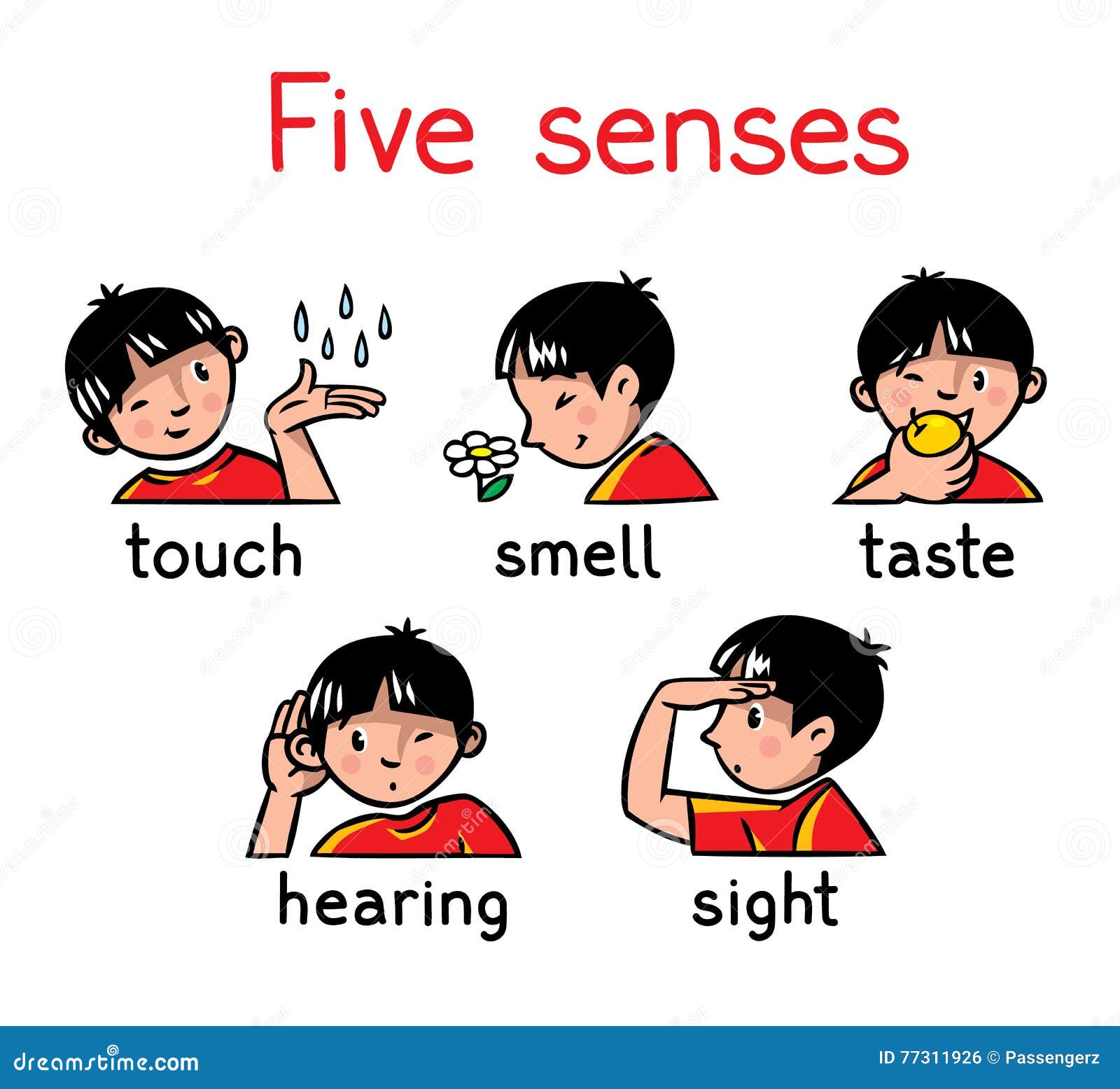 five senses icon set