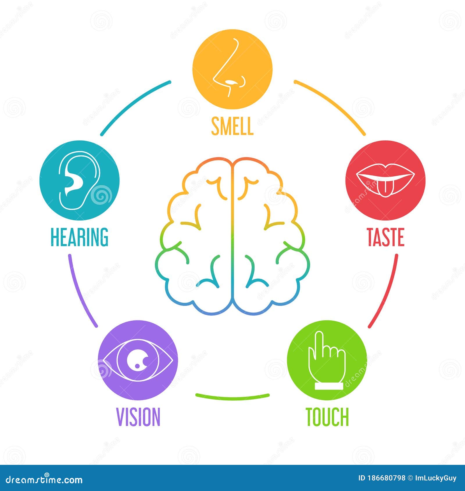 Five Senses Icon Set Vector Isolated Illustration Stock Illustration Illustration Of Hear Mind Five Senses Icon Set Vector Isolated Illustration Stock Illustration Illustration Of Hear Mind