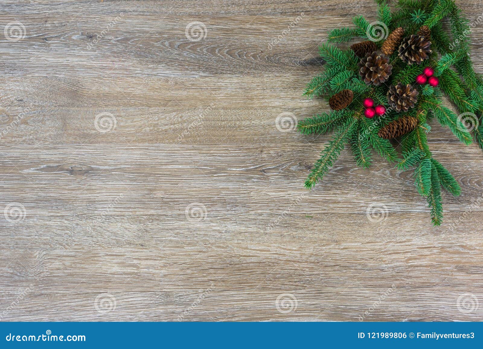 Pinecones and Red Berries on a Spruce Bough with Copy Space Stock Photo ...