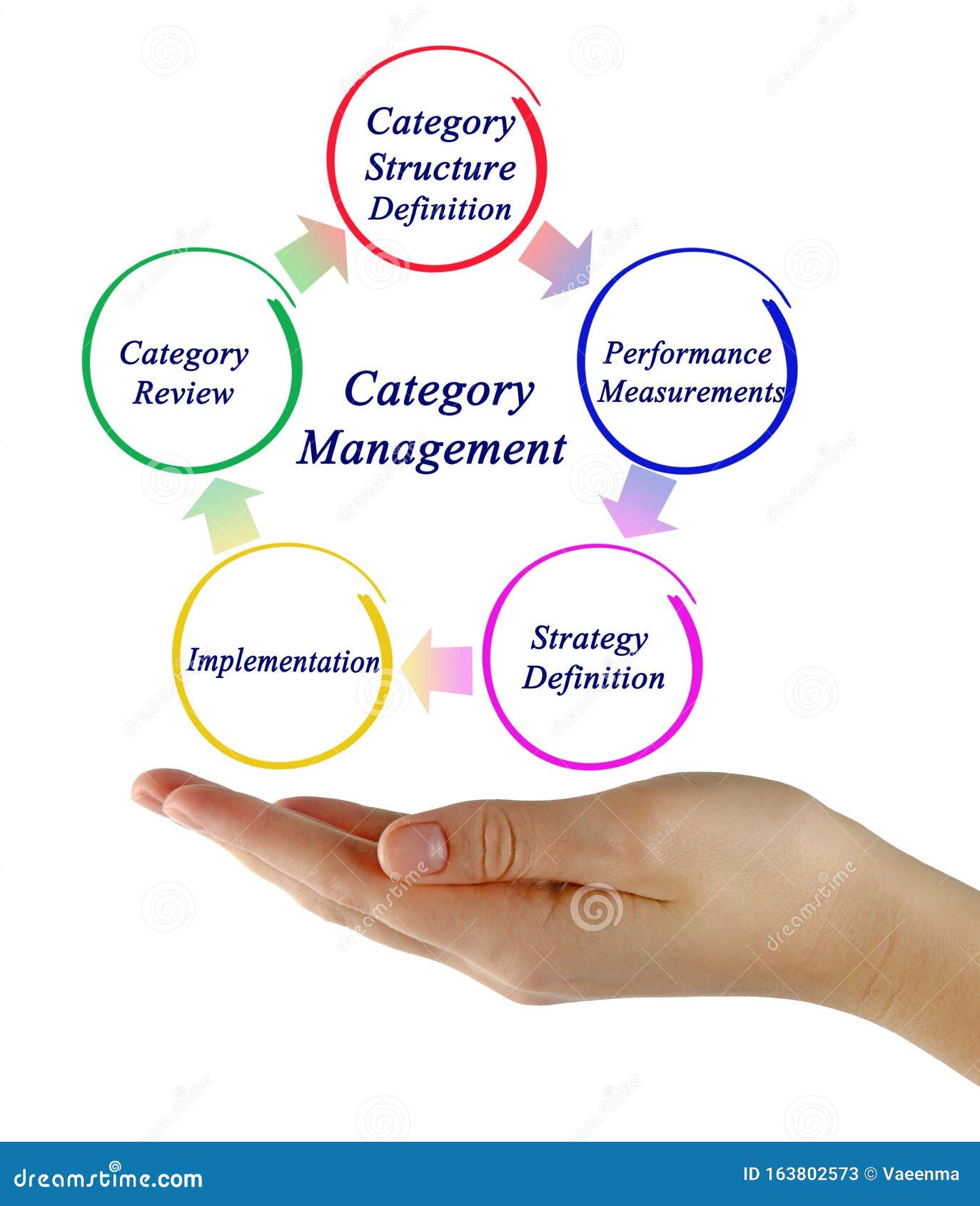Stages Of Category Management Stock Image Image Of Expert Female
