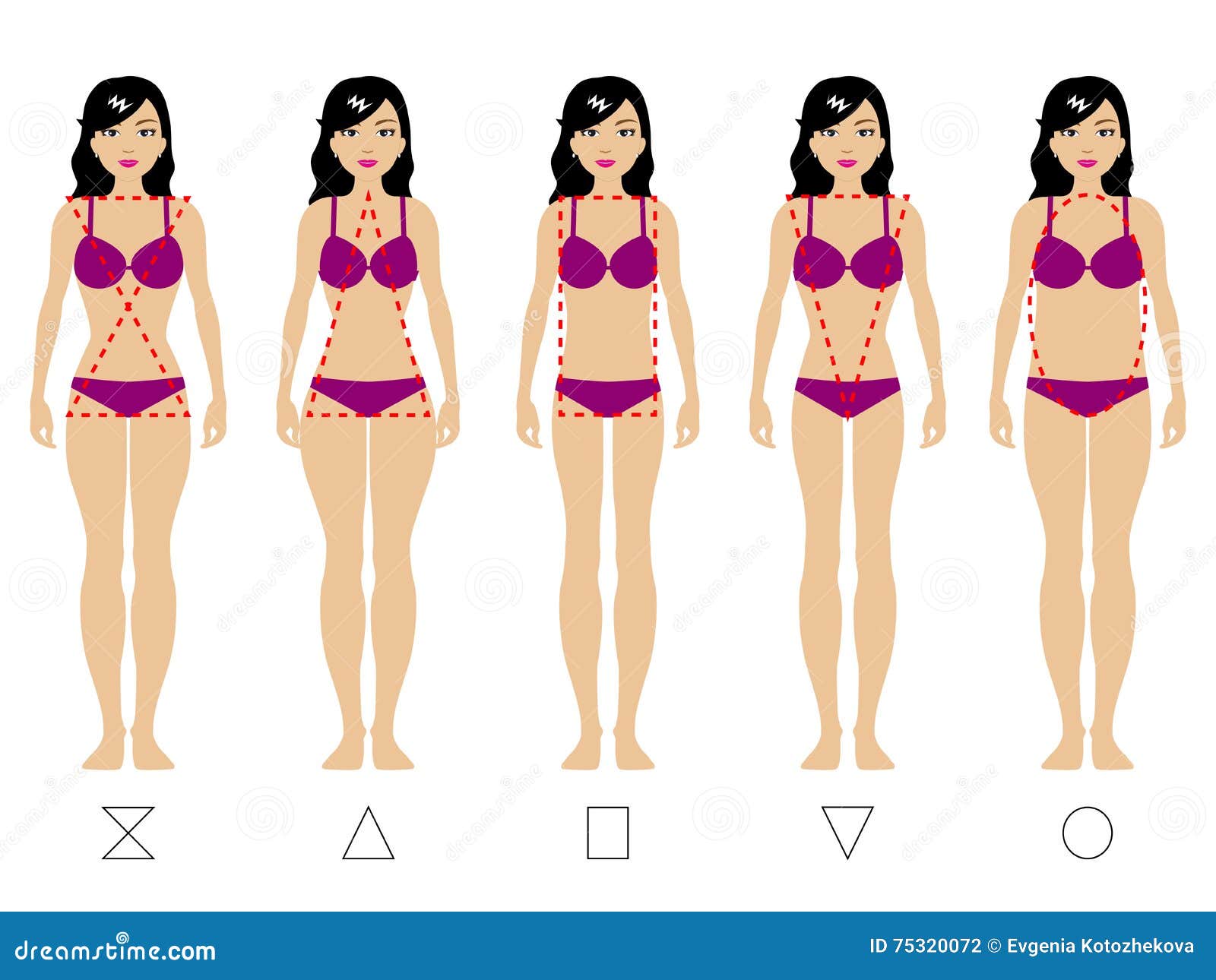 Five Types of the Female Body Stock Vector - Illustration of girl, design:  75320072