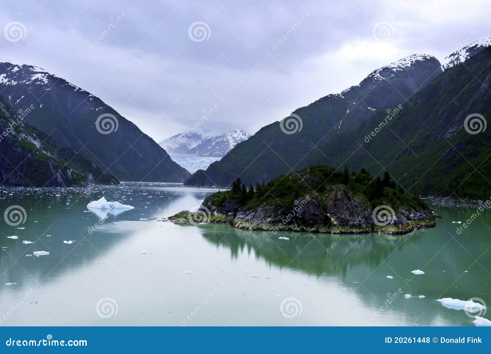 2,703 Fotos de Stock de Tracy - Fotos de Stock Gratuitas e Sem Fidelização  a partir da Dreamstime, image size:1600x1155