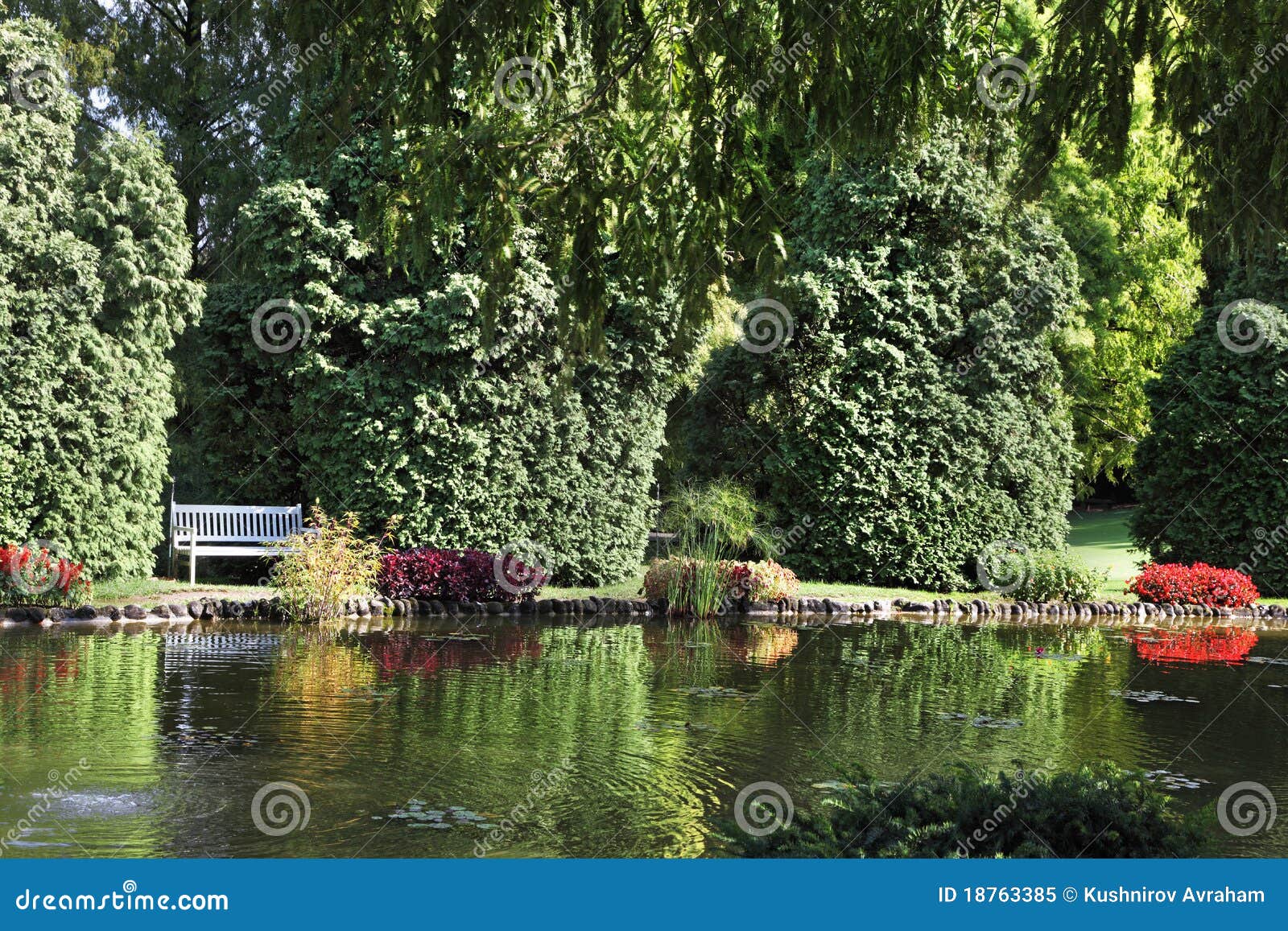 Flacher Teich stockbild. Bild von jahreszeit, üppig, oberfläche 18763385