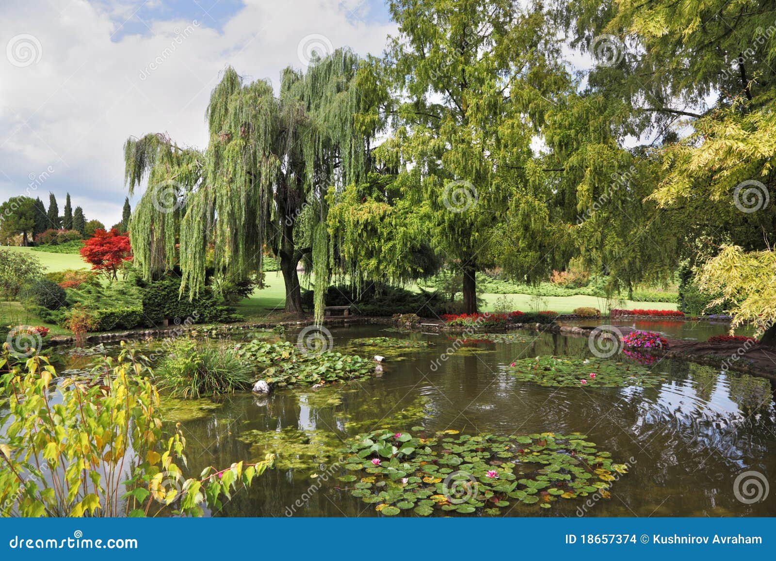 Flacher Teich, Bäume Und Blumen Stockfoto Bild von anstürme