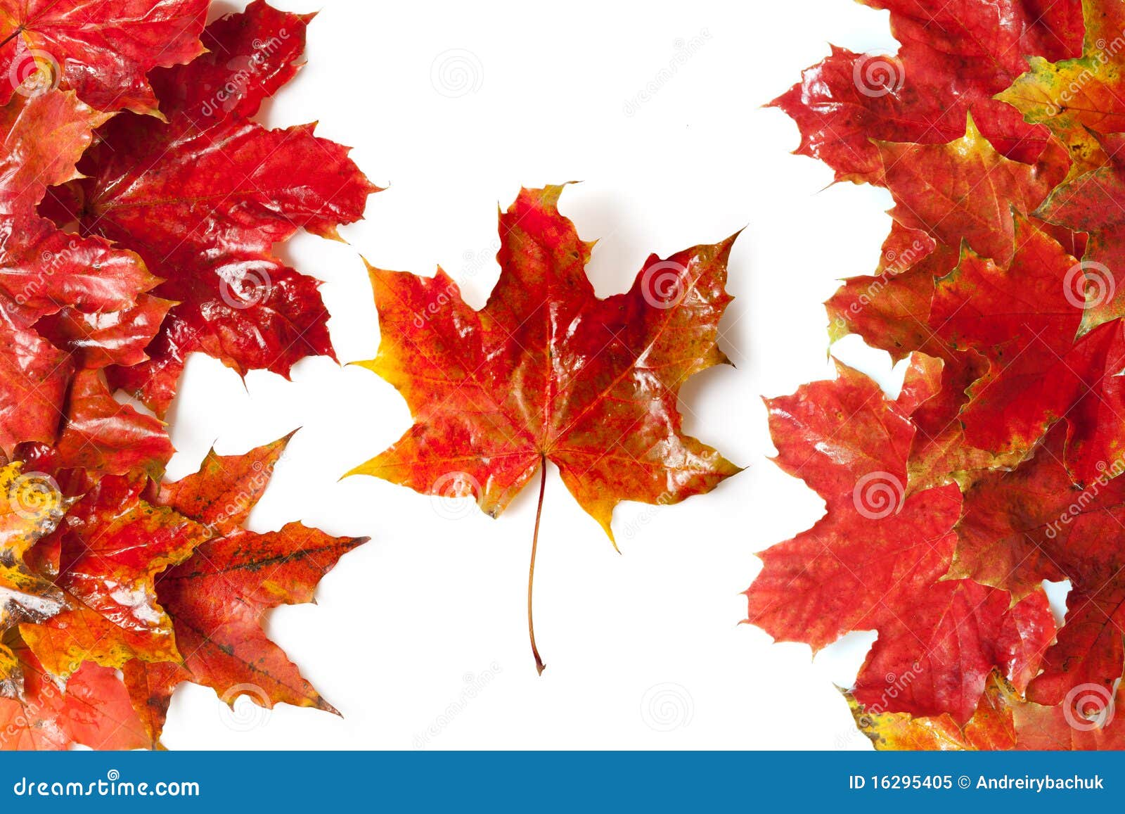 Flag Of Canada Royalty Free Stock Photo - Image: 16295405