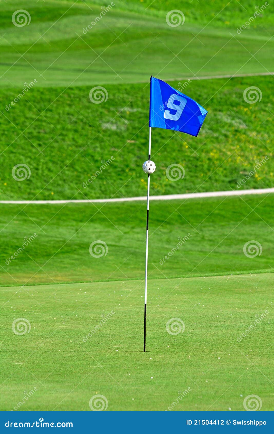 Flag on golf course stock photo. Image of golf, edge 21504412