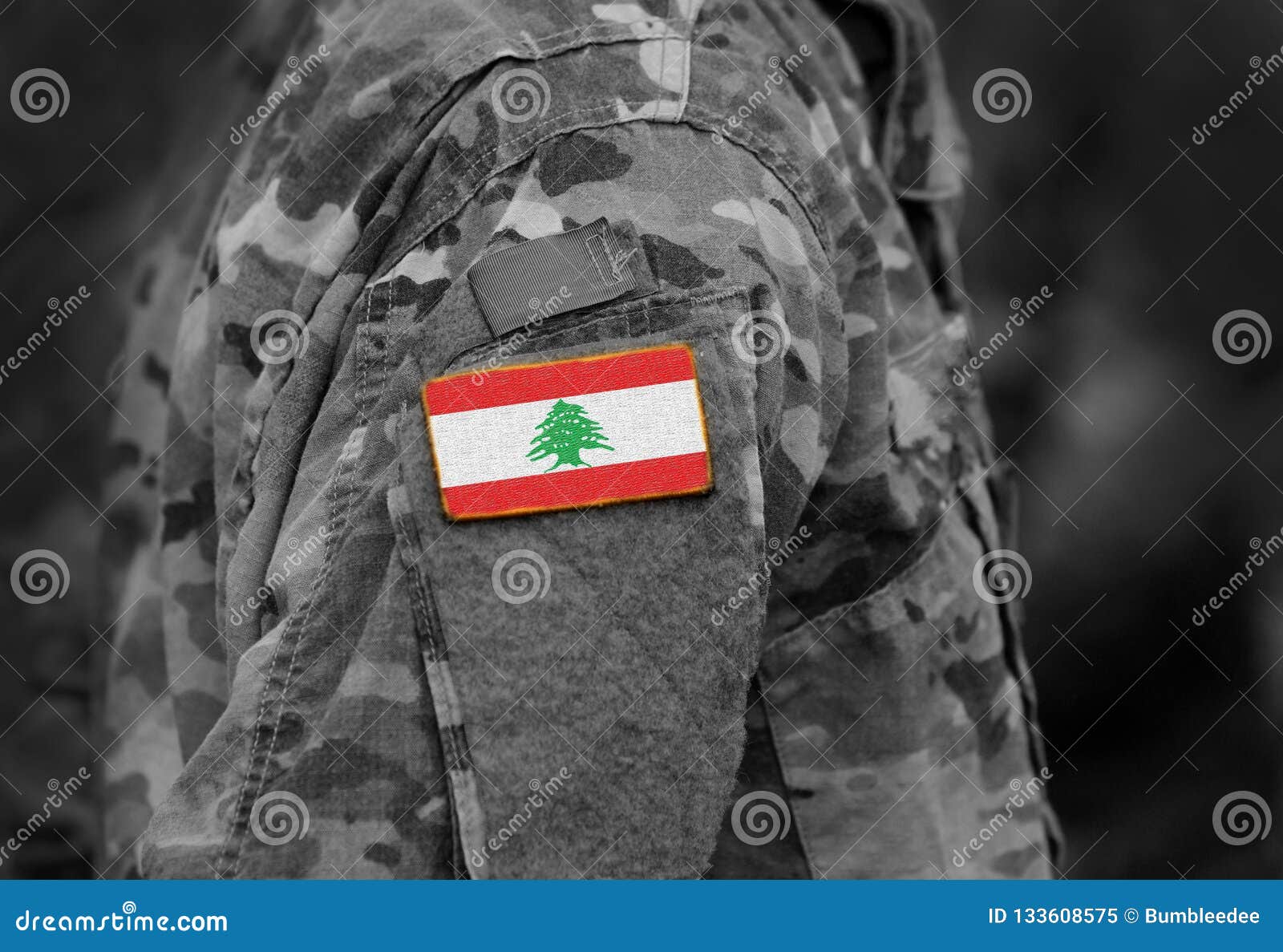 Flag of Lebanon on Military Uniforms. Lebanon Flag on Soldier Stock ...