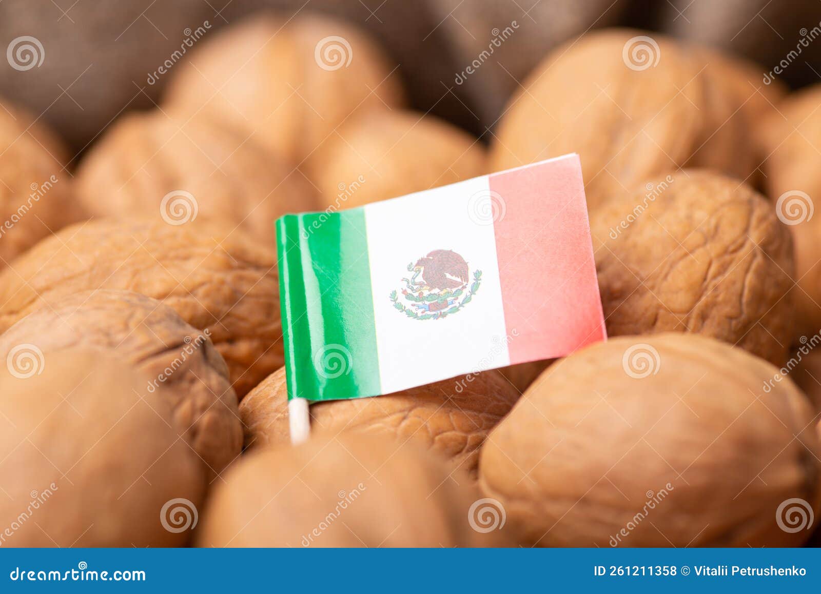 Flag of Mexico on walnuts stock photo. Image of nuts 261211358