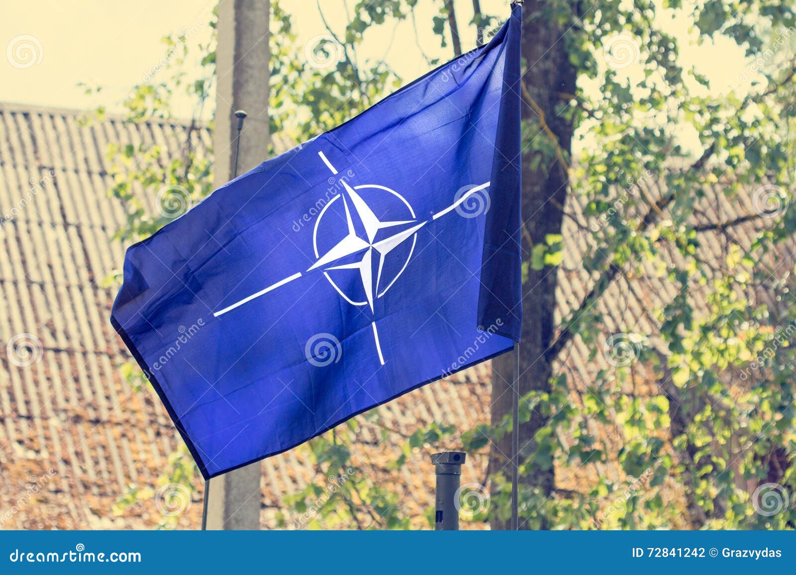 the flag of the nato