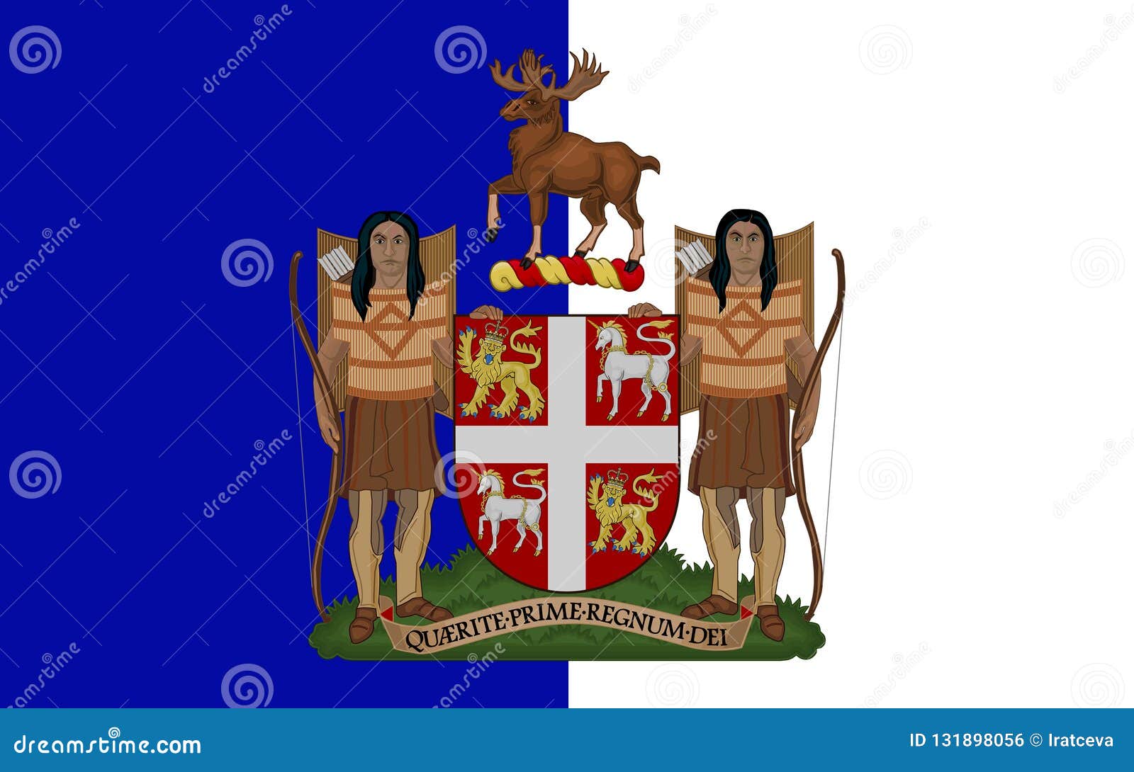 Download Flag Of Newfoundland And Labrador, Canada Stock ...