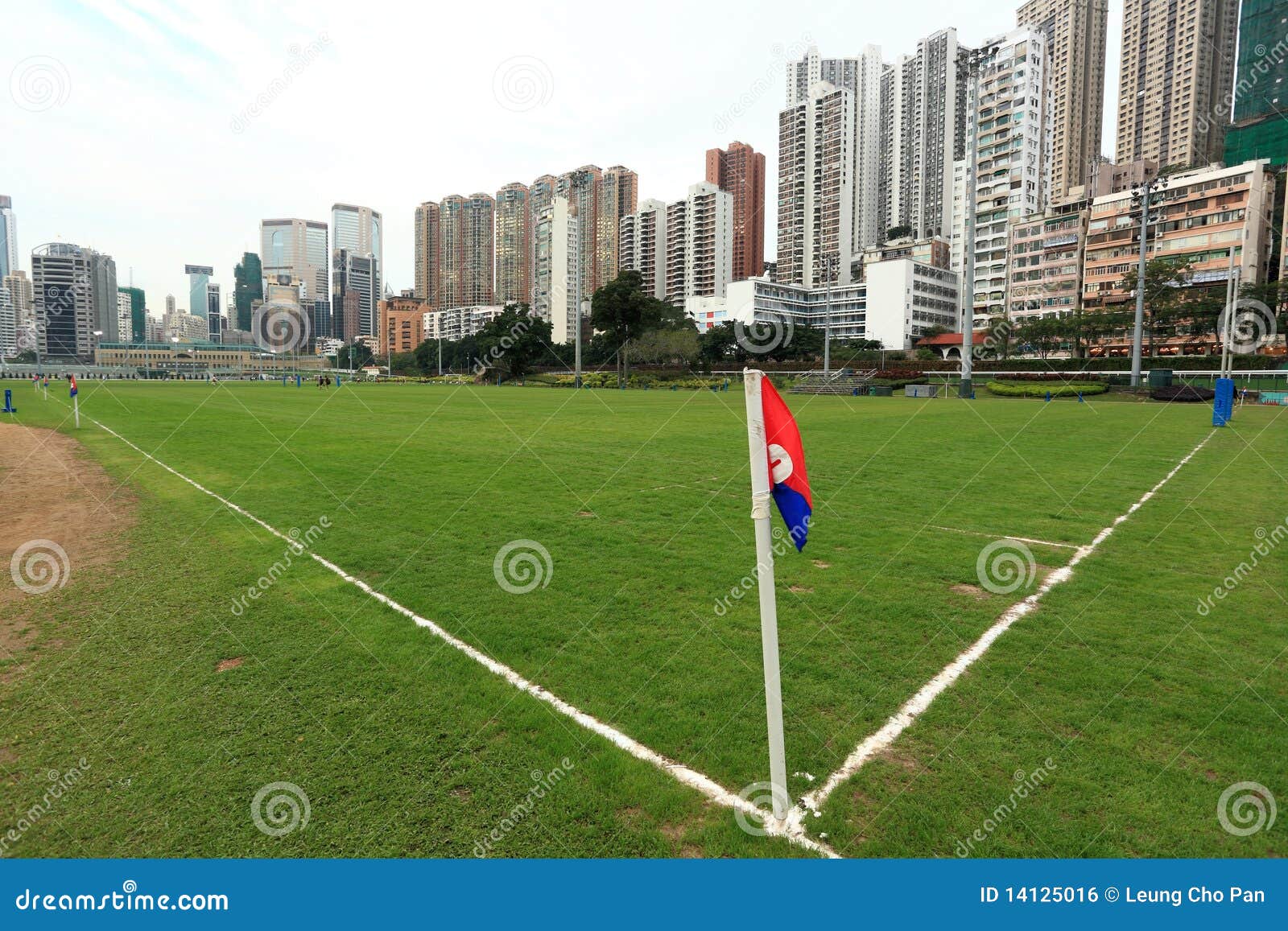 Flag in rugby court stock photo. Image of season, competition 14125016