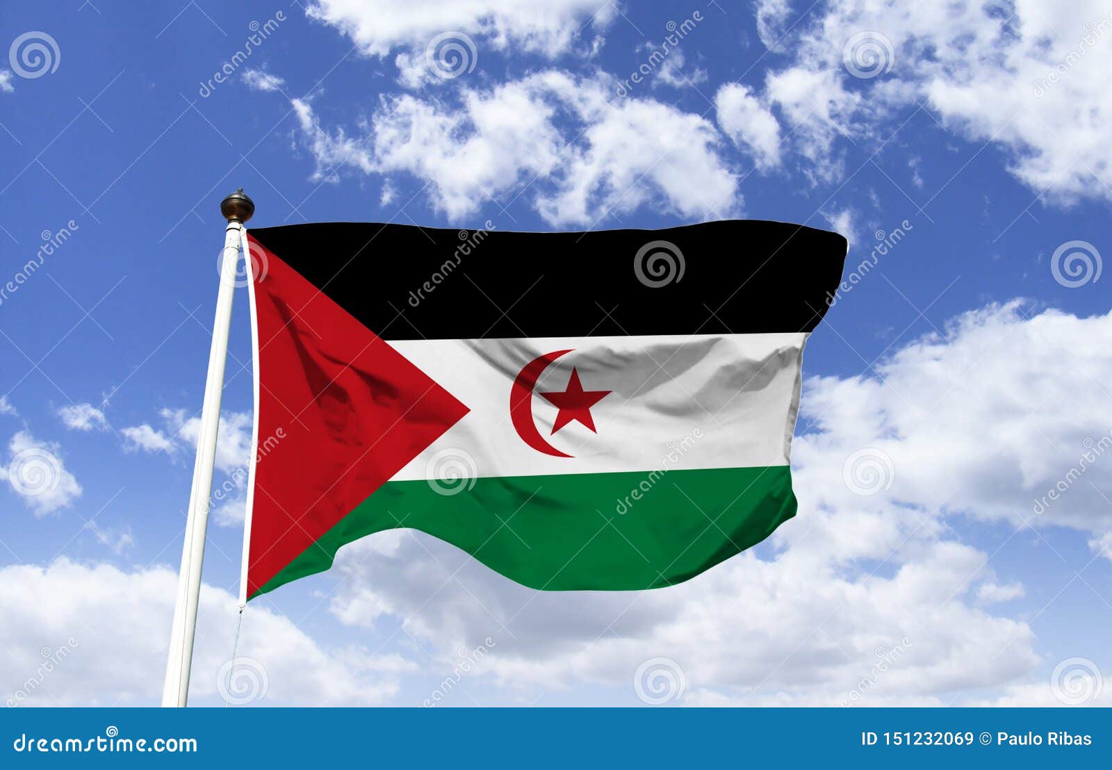 sang Forhandle hvor som helst Flag of the Sahrawi Arab Democratic Republic Stock Image - Image of  country, colors: 151232069