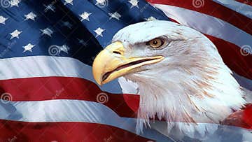 Bald Eagle and the American Flag Stock Illustration - Illustration of ...