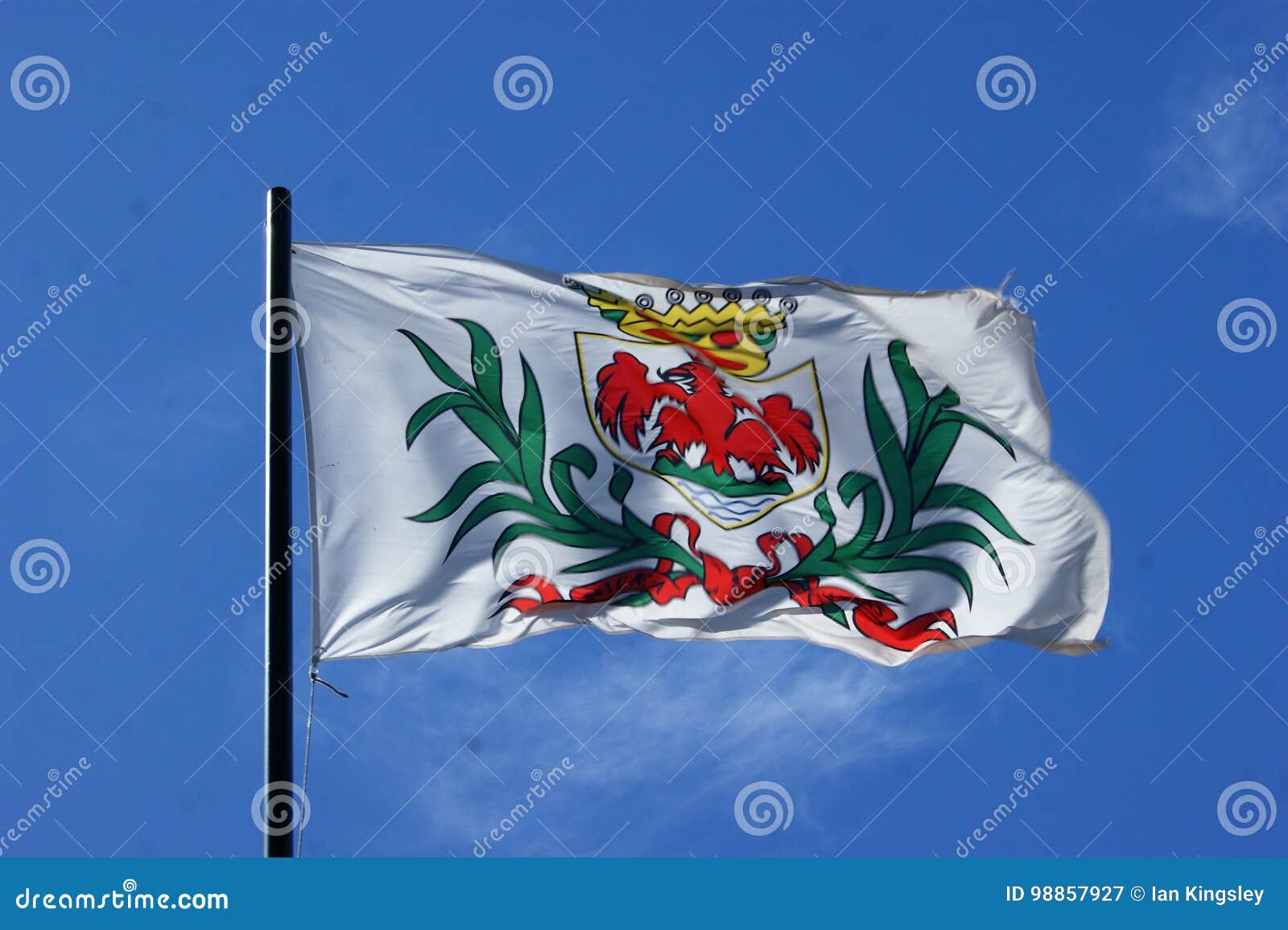Flagge Der Stadt Des Nizza Fliegens Stockbild Bild Von Blau Markierungsfahne 98857927