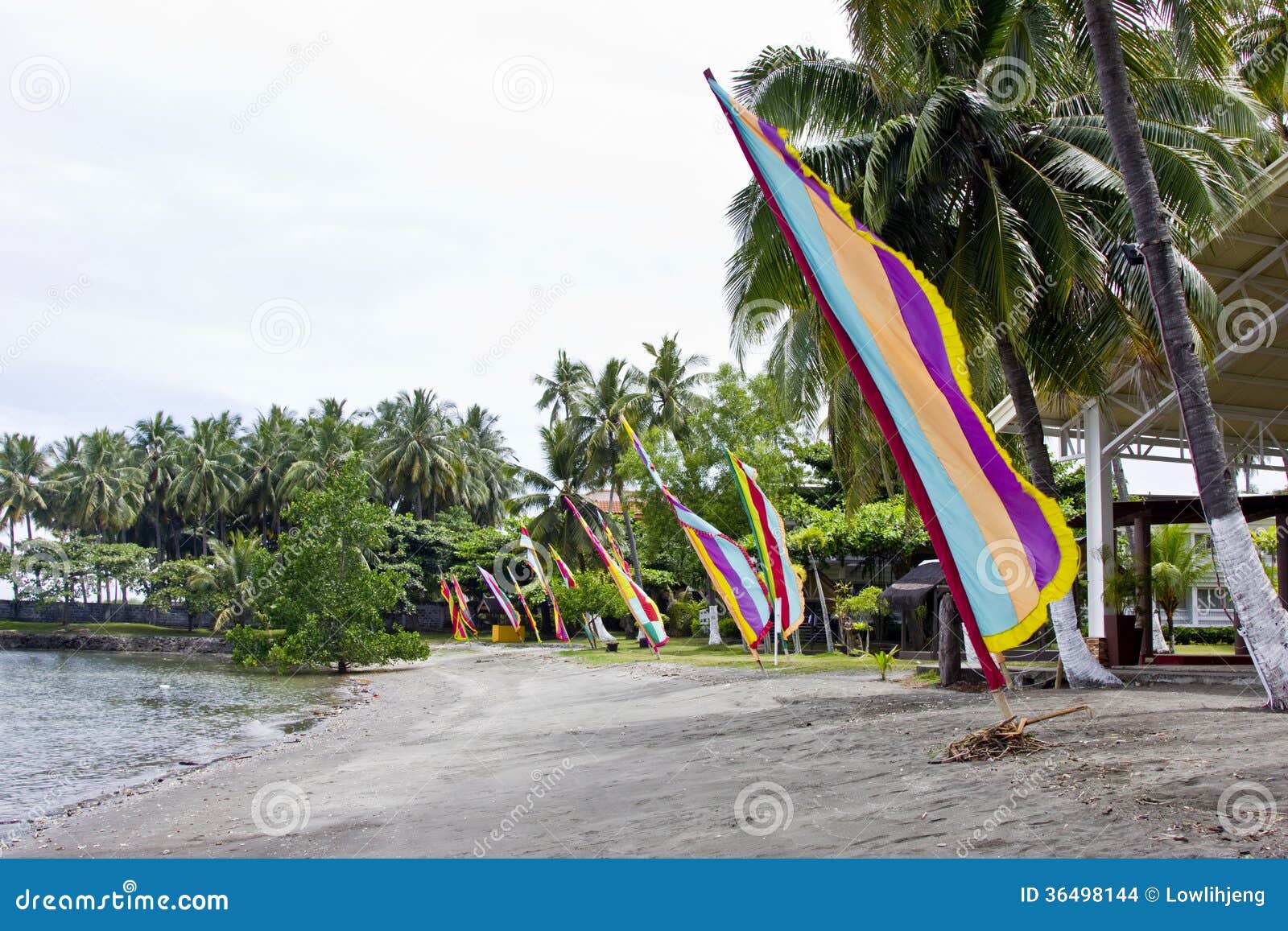 Flags on a beach stock photo. Image of colourful, decorative 36498144