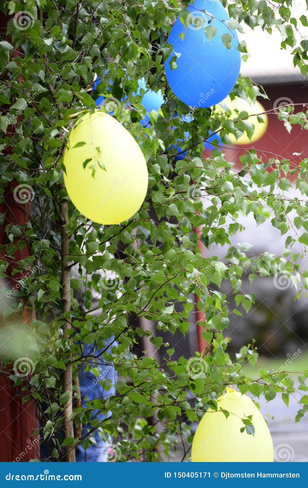 flags and colors from the swedish flag