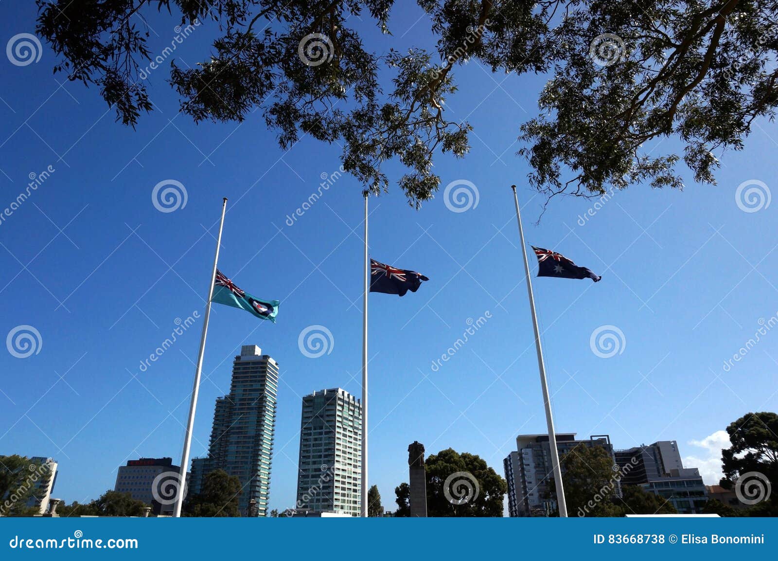 Flags in Melbourne stock photo. Image of summer, metropolis 83668738