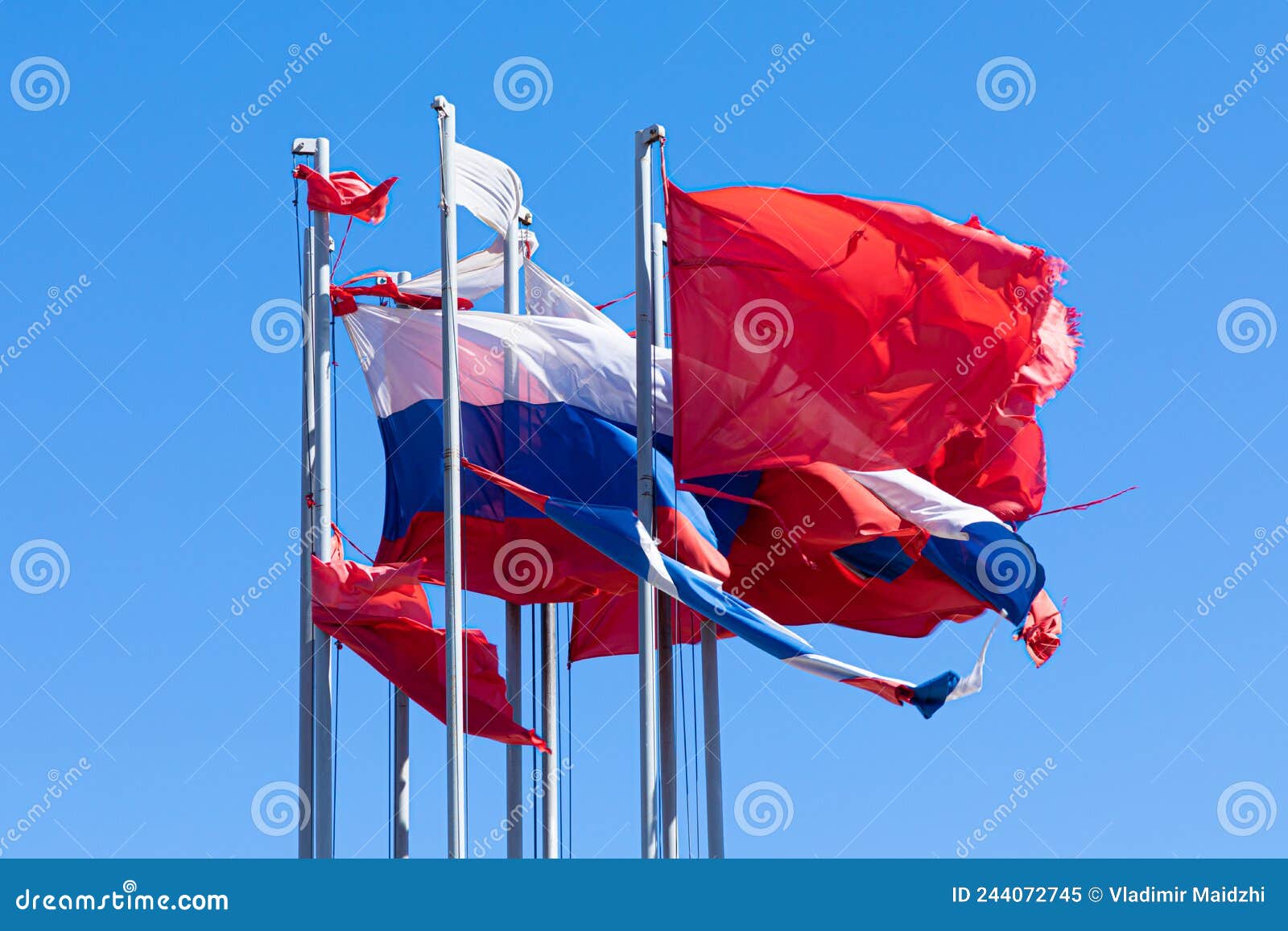 Russian Federation Flags