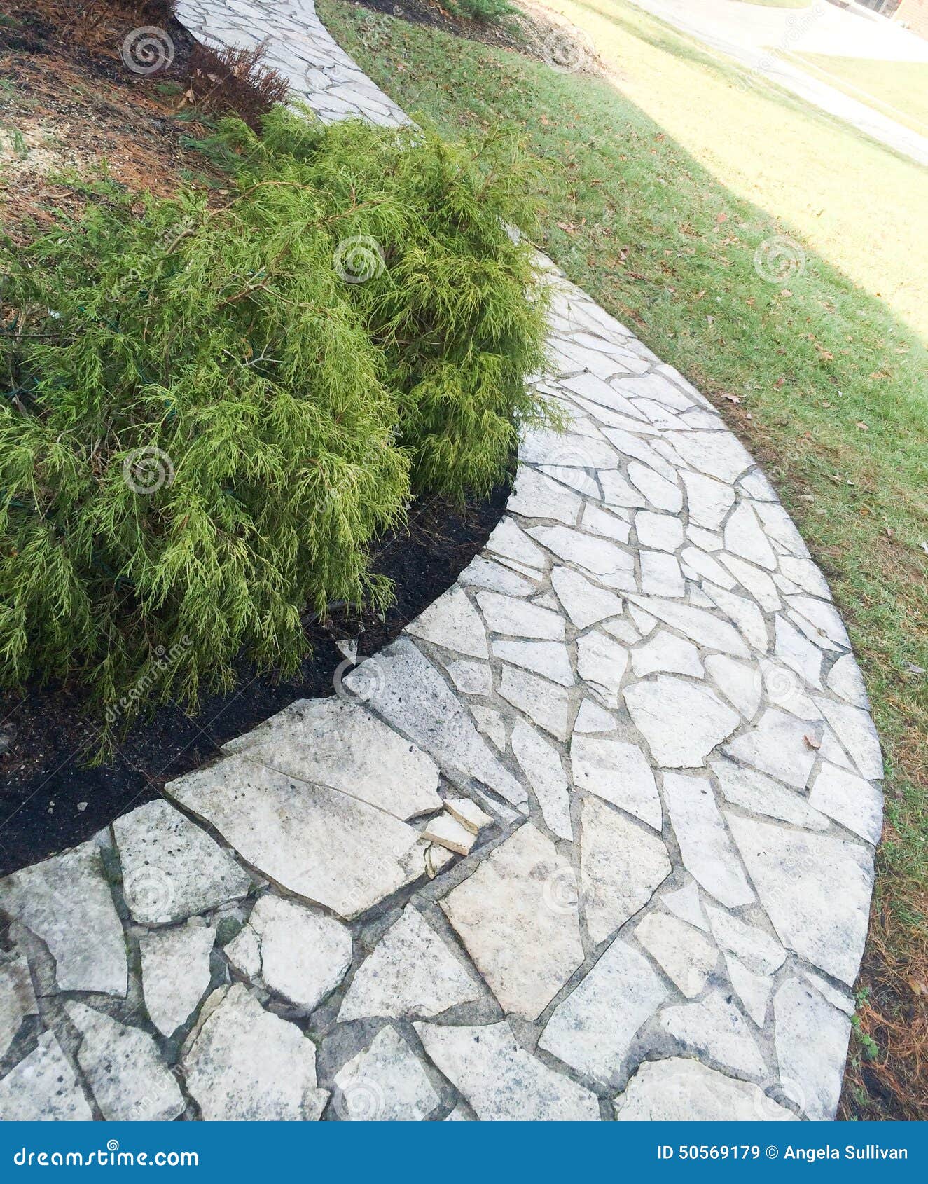 Flagstone Walkway With Landscaping Stock Image Image Of Bushes Front 50569179