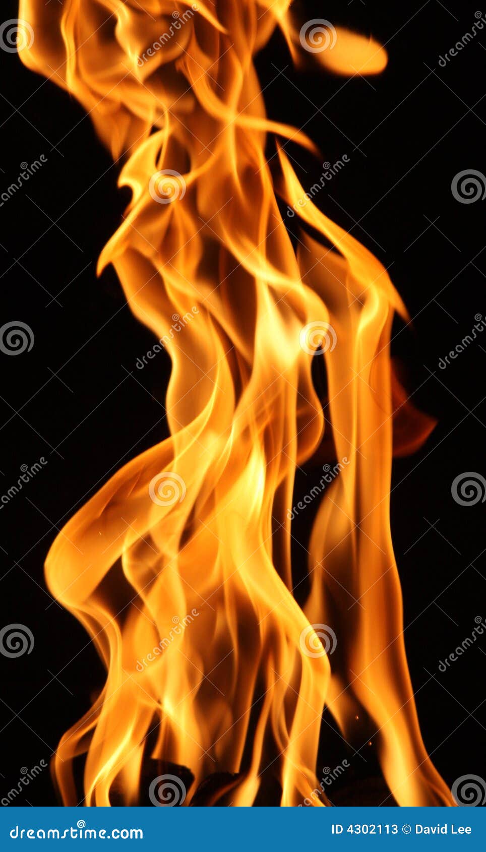 Flame stock image Image of vivid danger burning flame 4302113