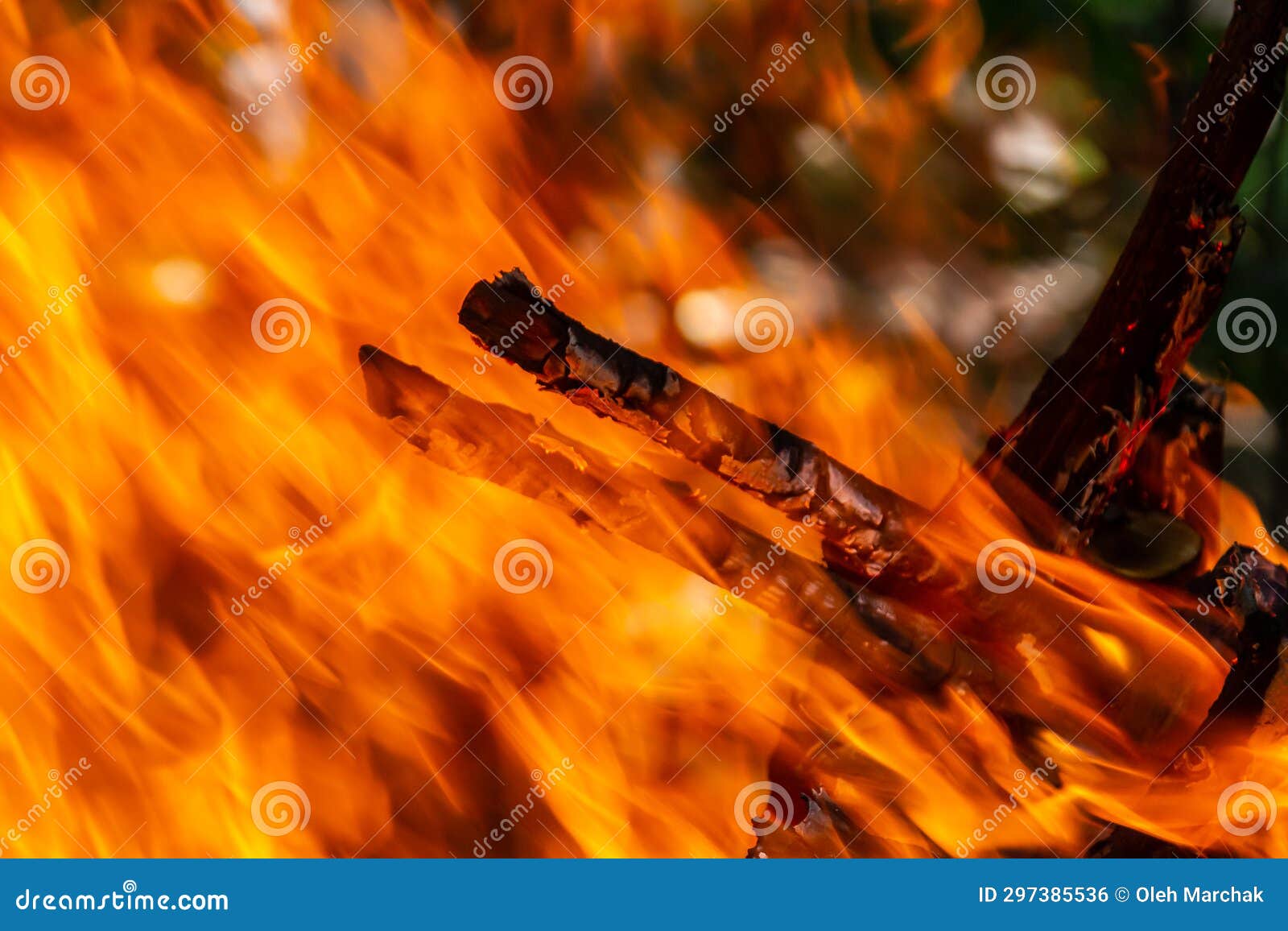 Flame of Charcoal Fire. Hearth for Cooking and Heating Stock Photo