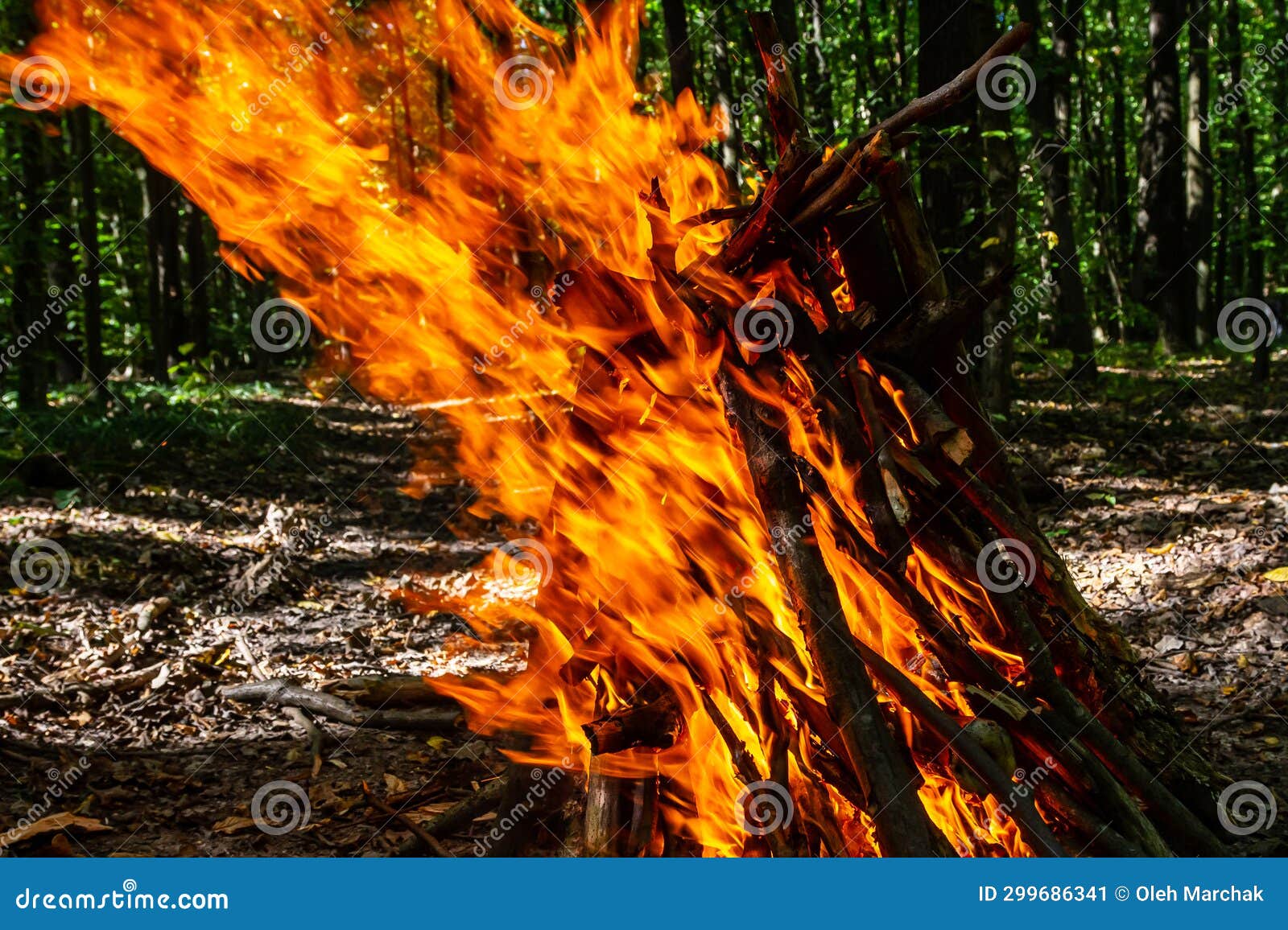 Flame of Charcoal Fire. Hearth for Cooking and Heating Stock Image