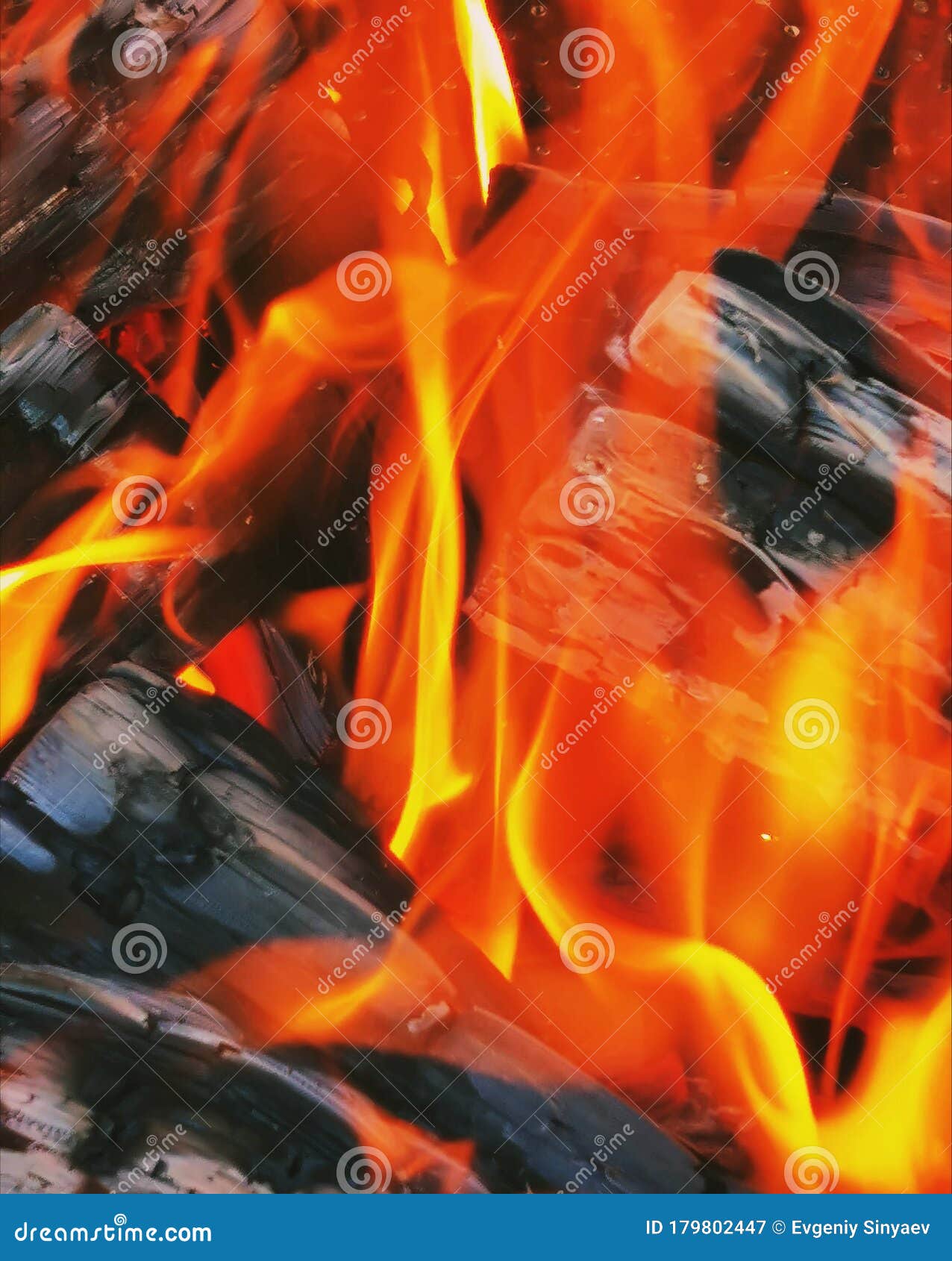 Flame, Dangerous, but at the Same Time Incredibly Beautiful Stock Image