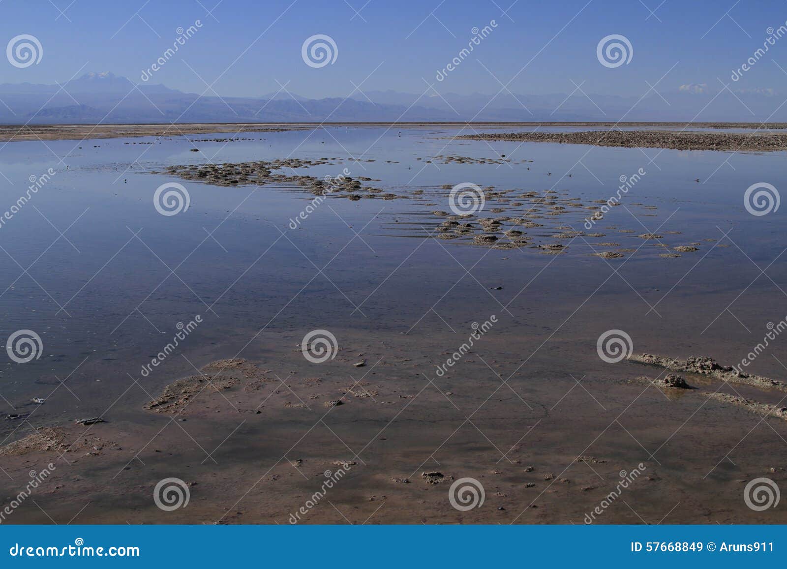 Ansicht von Flamengos in der Flamencoreserve in Salar de Atacama