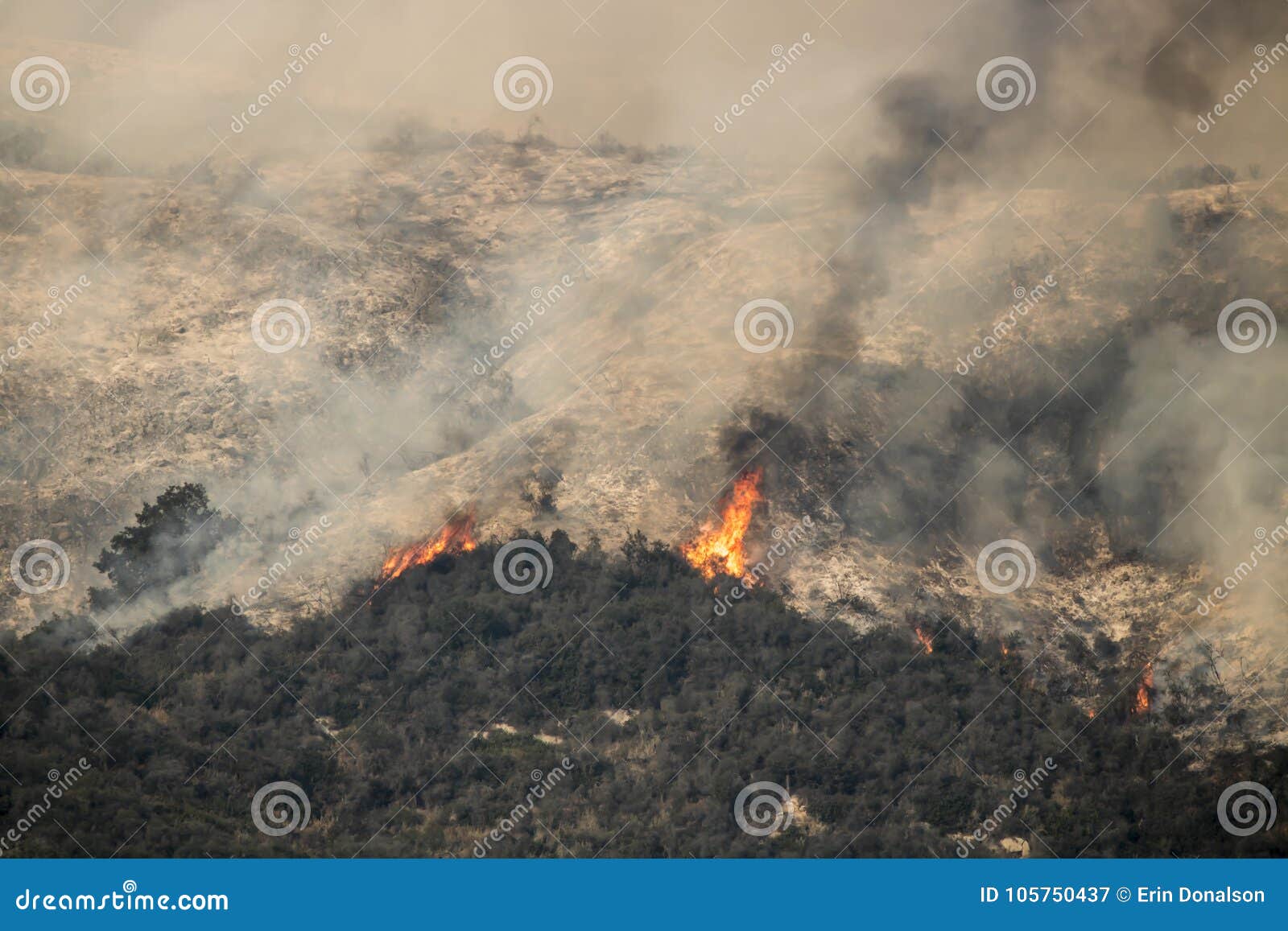 flames flare up on california mountainside above carpinteria