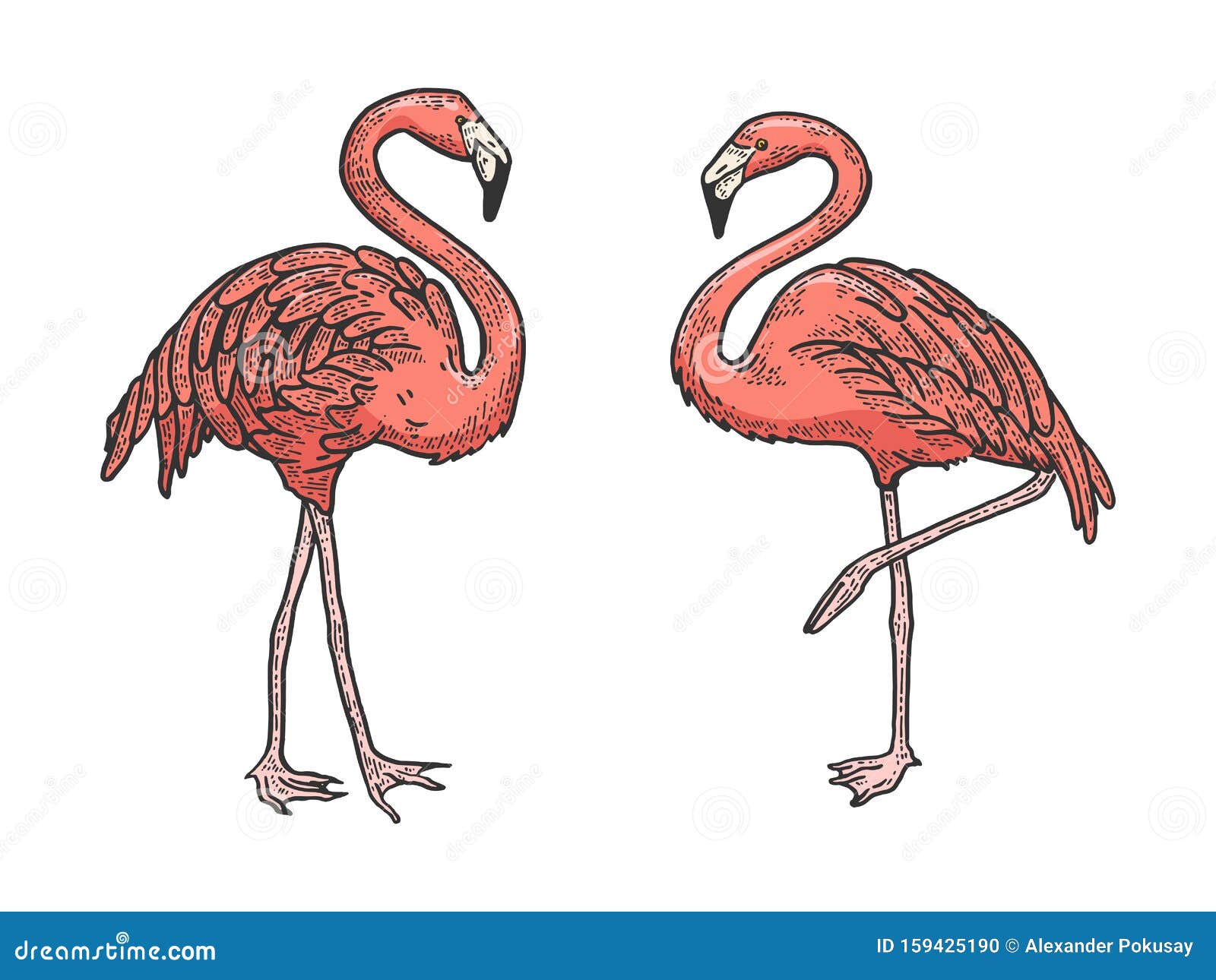Pin by Cabe Trust on Body bookmarks  How to draw flamingo Flamingo art  Flamingo painting