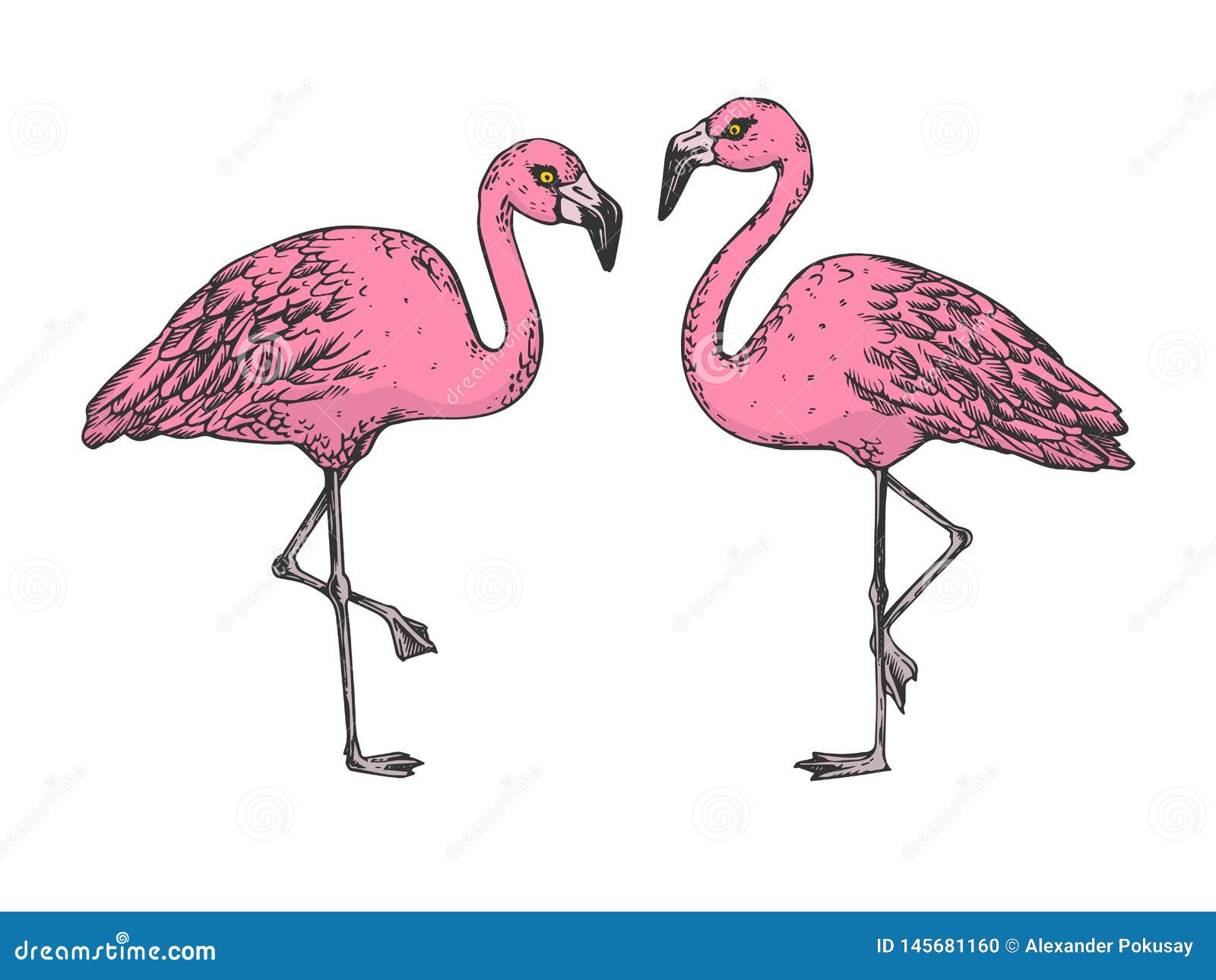 How to Draw a Flamingo step by step  Easy animals to draw  YouTube