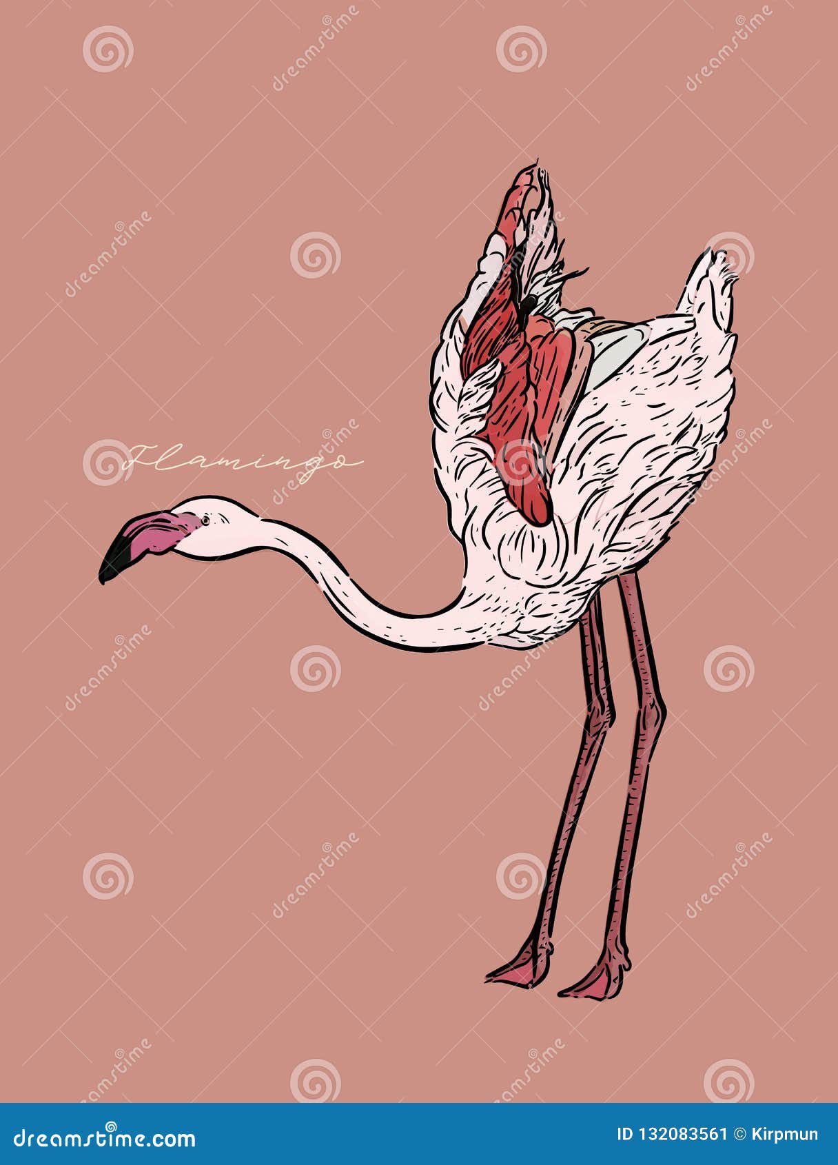 American flamingo bird coloring outline Royalty Free Vector