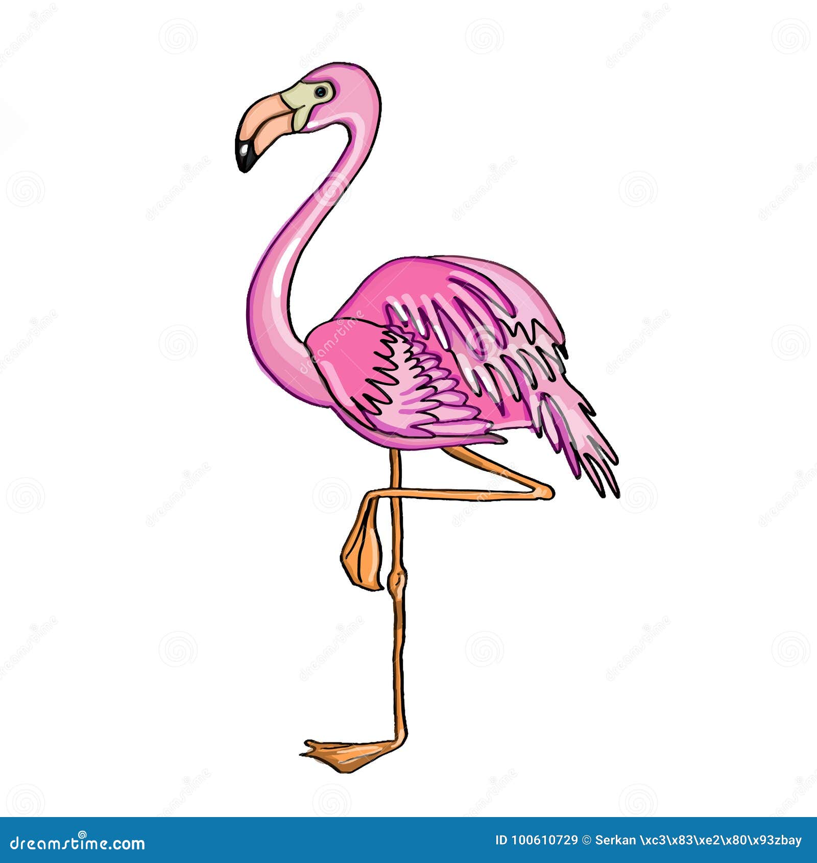 Flamingo Illustration Cartoon Drawing Coloring Stock Vector - Illustration  of flamingo, feather: 100610729