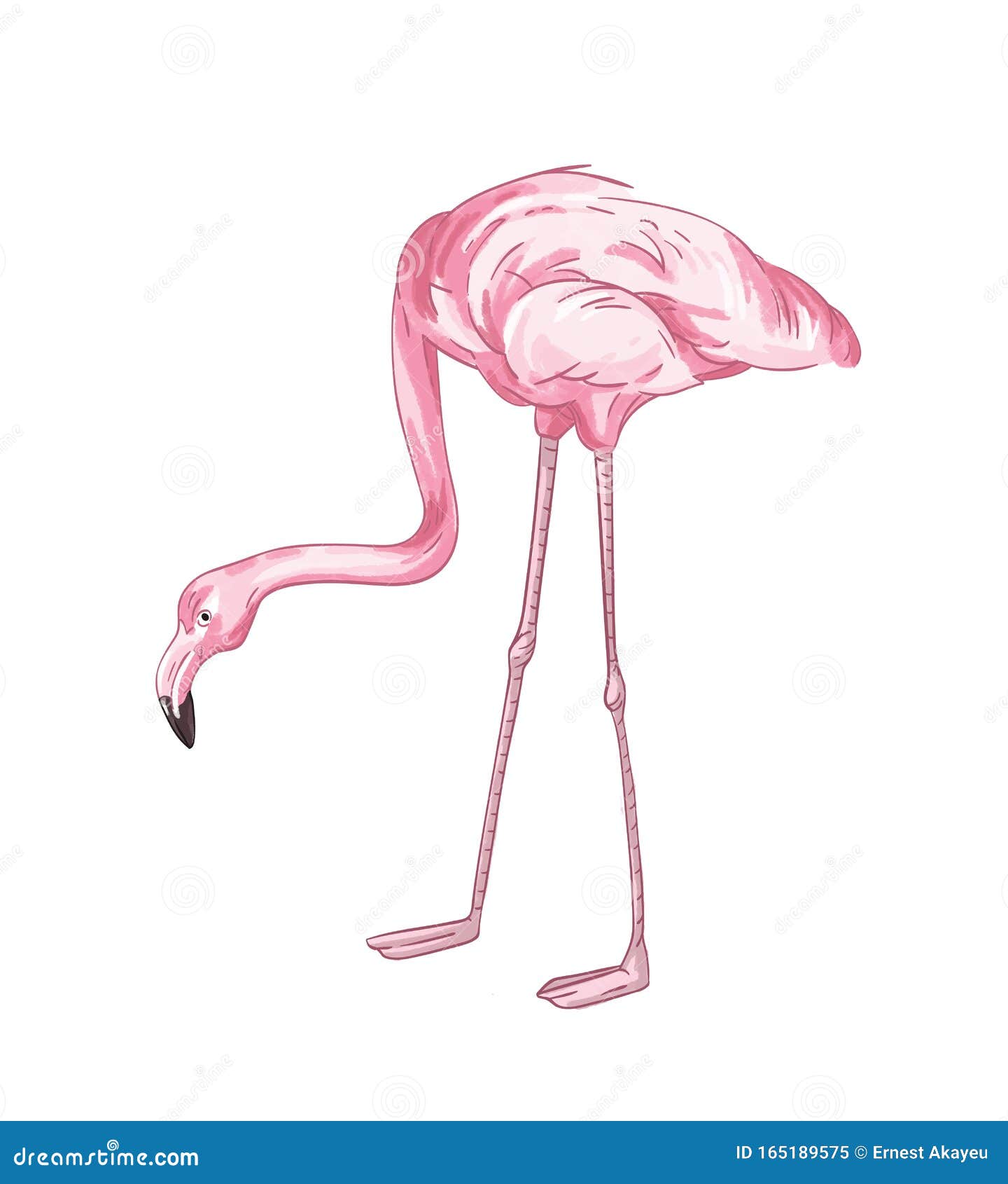 Flamingo! (original drawing) – Art by Tom Wrenn