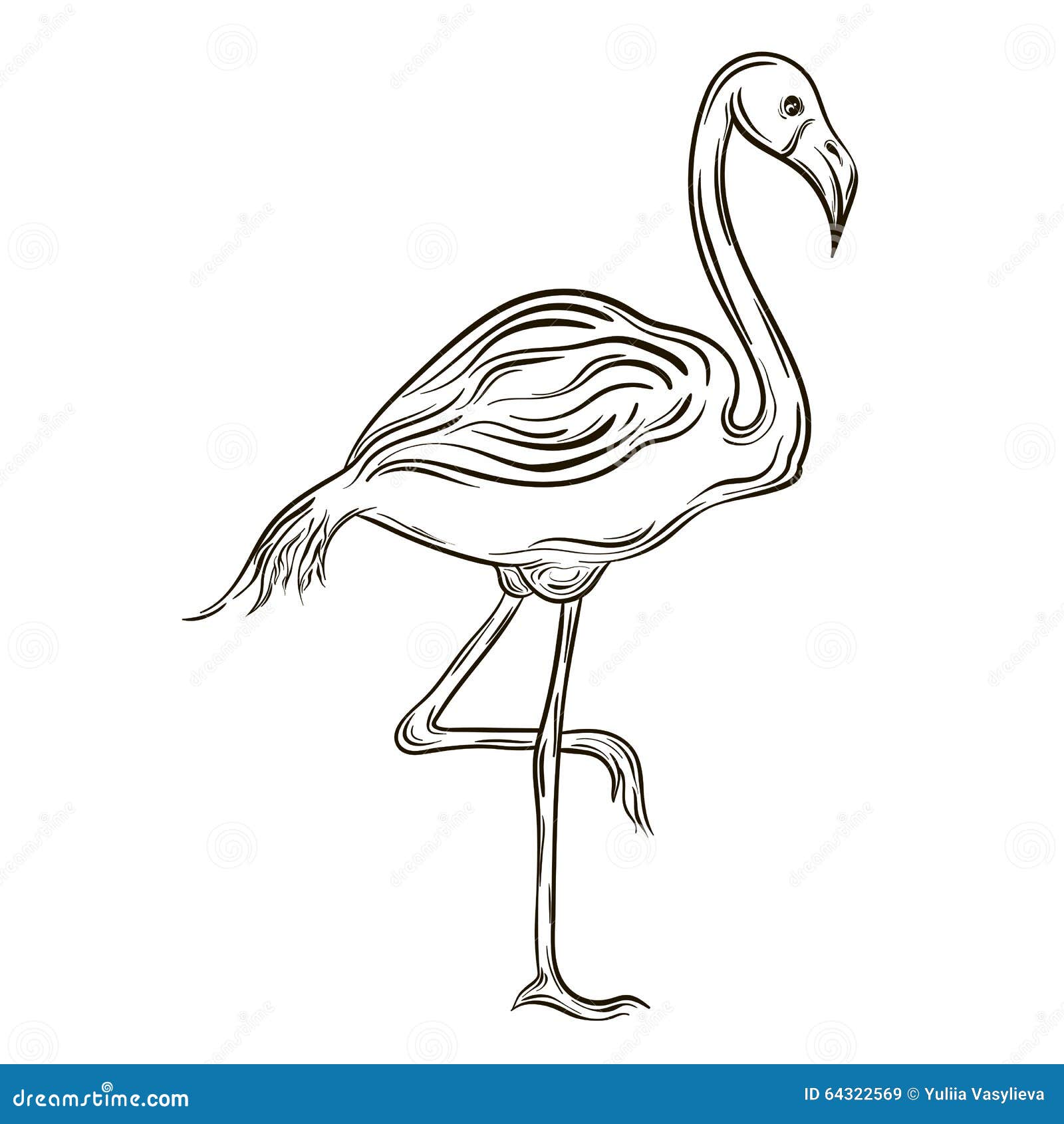 white and in themes photography black Stock 64322569 Image: Flamingo  Vector