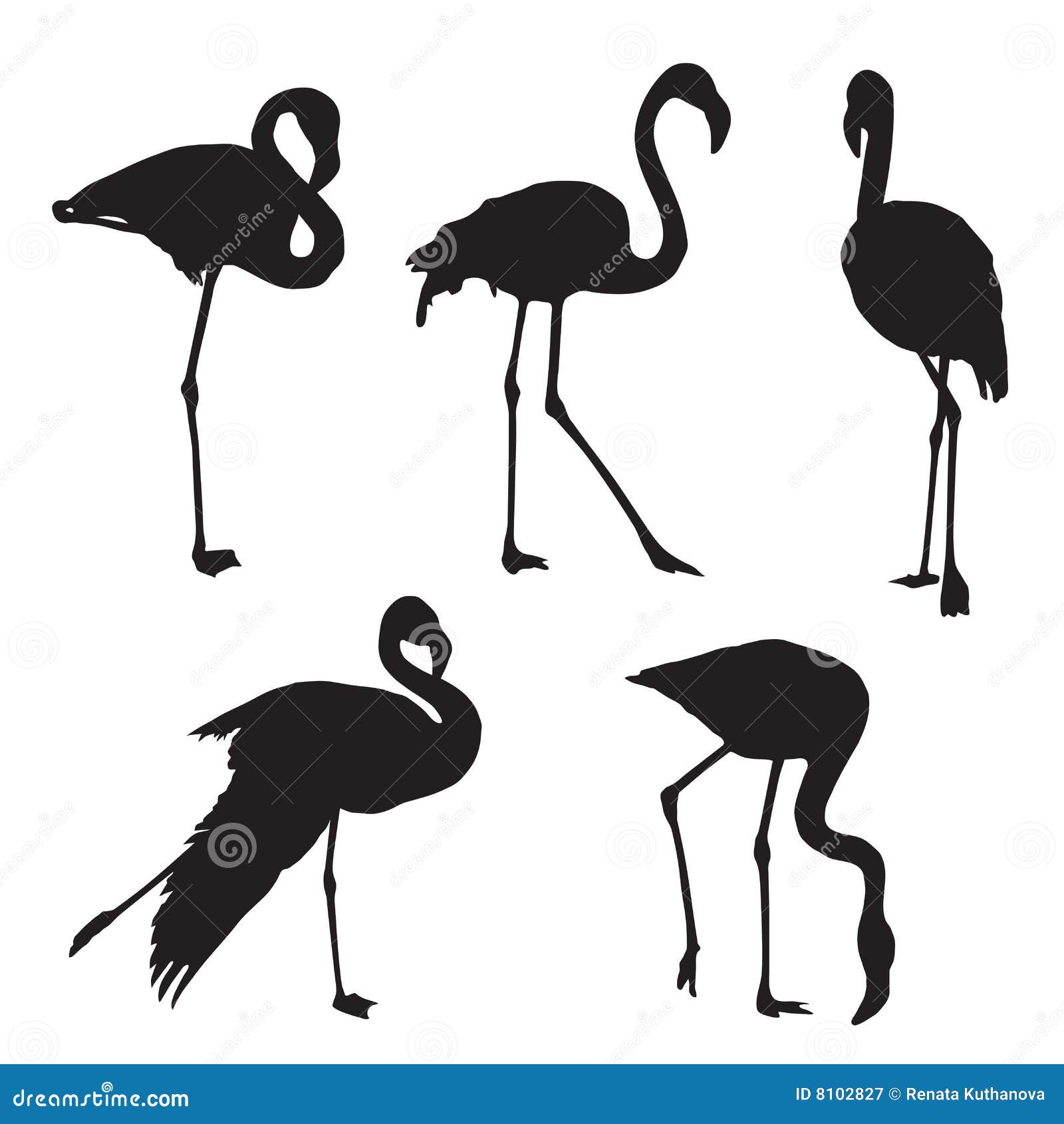 Flamingo silhouette stock vector. Illustration of bird - 8102827